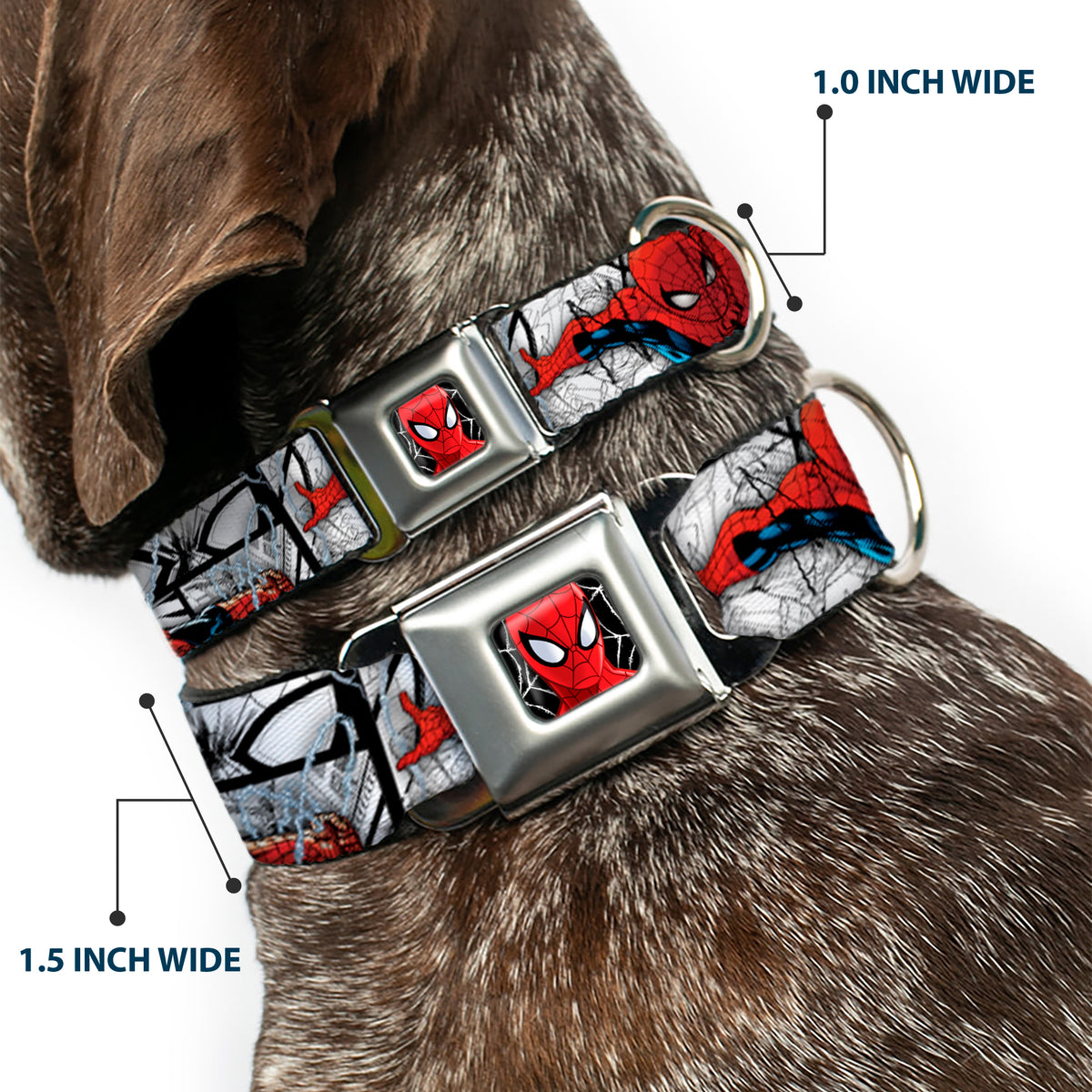 ULTIMATE SPIDER-MAN Ultimate Spider-Man Face Web Full Color Seatbelt Buckle Collar - SPIDER-MAN Action Poses/Comic Scenes White/Black/Red Dog Collars Seatbelt Buckle Marvel Comics