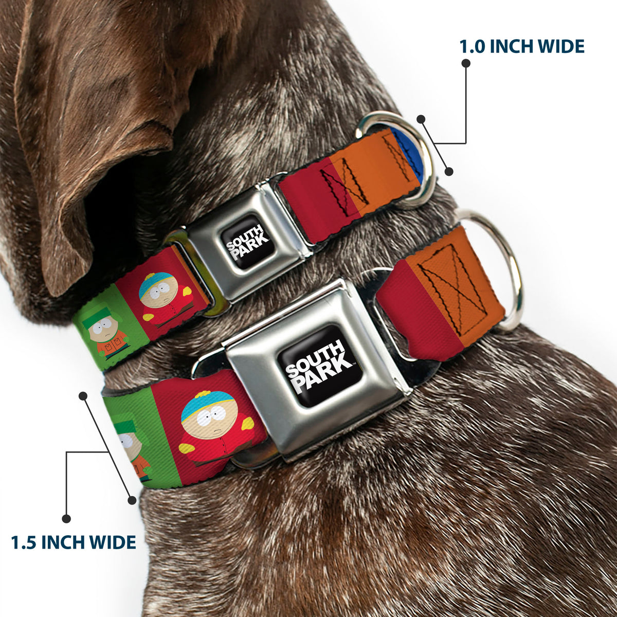 SOUTH PARK Title Logo Full Color Black/White Seatbelt Buckle Collar - South Park Boys Pose Blocks Multi Color Dog Collars Seatbelt Buckle South Park