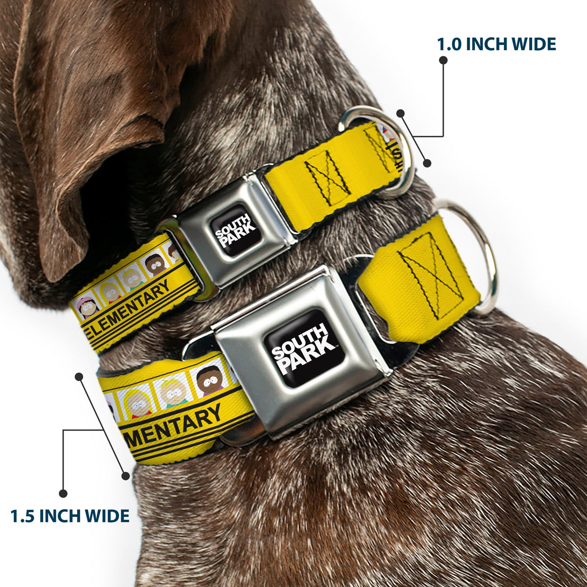 SOUTH PARK Title Logo Full Color Black/White Seatbelt Buckle Collar - SOUTH PARK ELEMENTARY School Bus Characters Pose Yellow Dog Collars Seatbelt Buckle South Park
