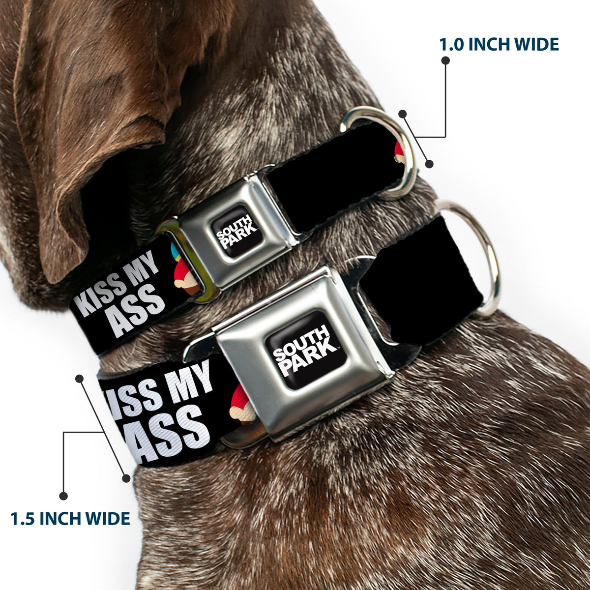 SOUTH PARK Title Logo Full Color Black/White Seatbelt Buckle Collar - South Park Cartman Pants KISS MY ASS Pose Black/White Dog Collars Seatbelt Buckle South Park