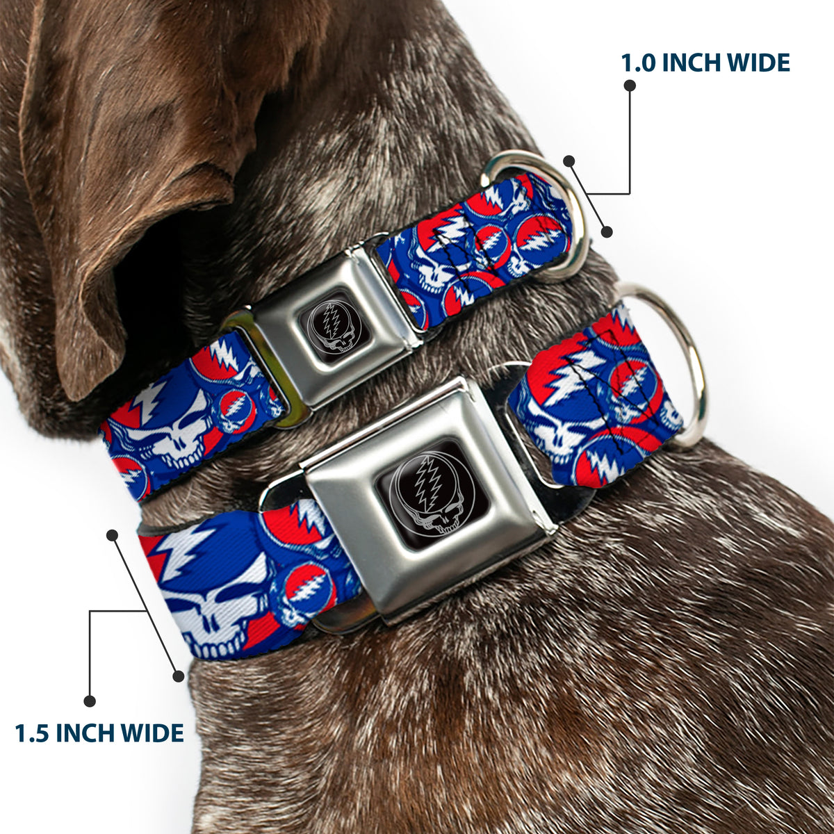 Steal Your Face Seatbelt Buckle Collar - Steal Your Face Stacked Red/White/Blue Dog Collars Seatbelt Buckle Grateful Dead