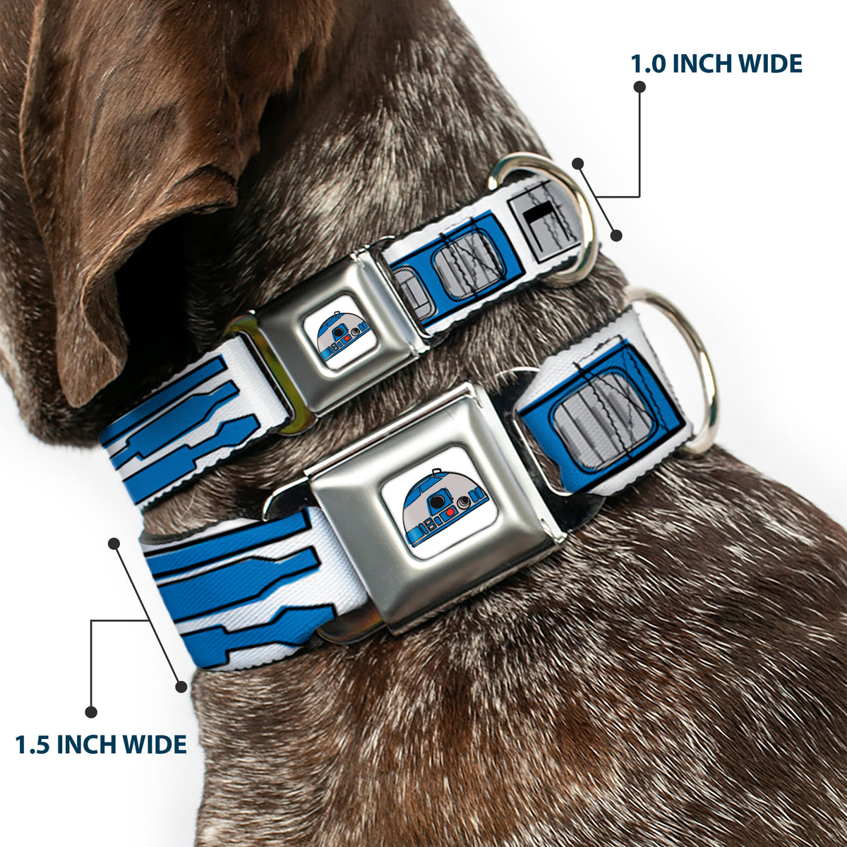 Star Wars R2-D2 Head Full Color White/Black/Blue/Gray/Red Seatbelt Buckle Collar - Star Wars R2-D2 Bounding Parts4 White/Black/Blue/Gray/Red Dog Collars Seatbelt Buckle Star Wars