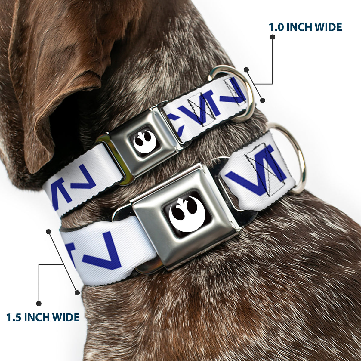 Star Wars Rebel Alliance Insignia Full Color Black/White Seatbelt Buckle Collar - Star Wars Aurebesh REBEL White/Blue Dog Collars Seatbelt Buckle Star Wars