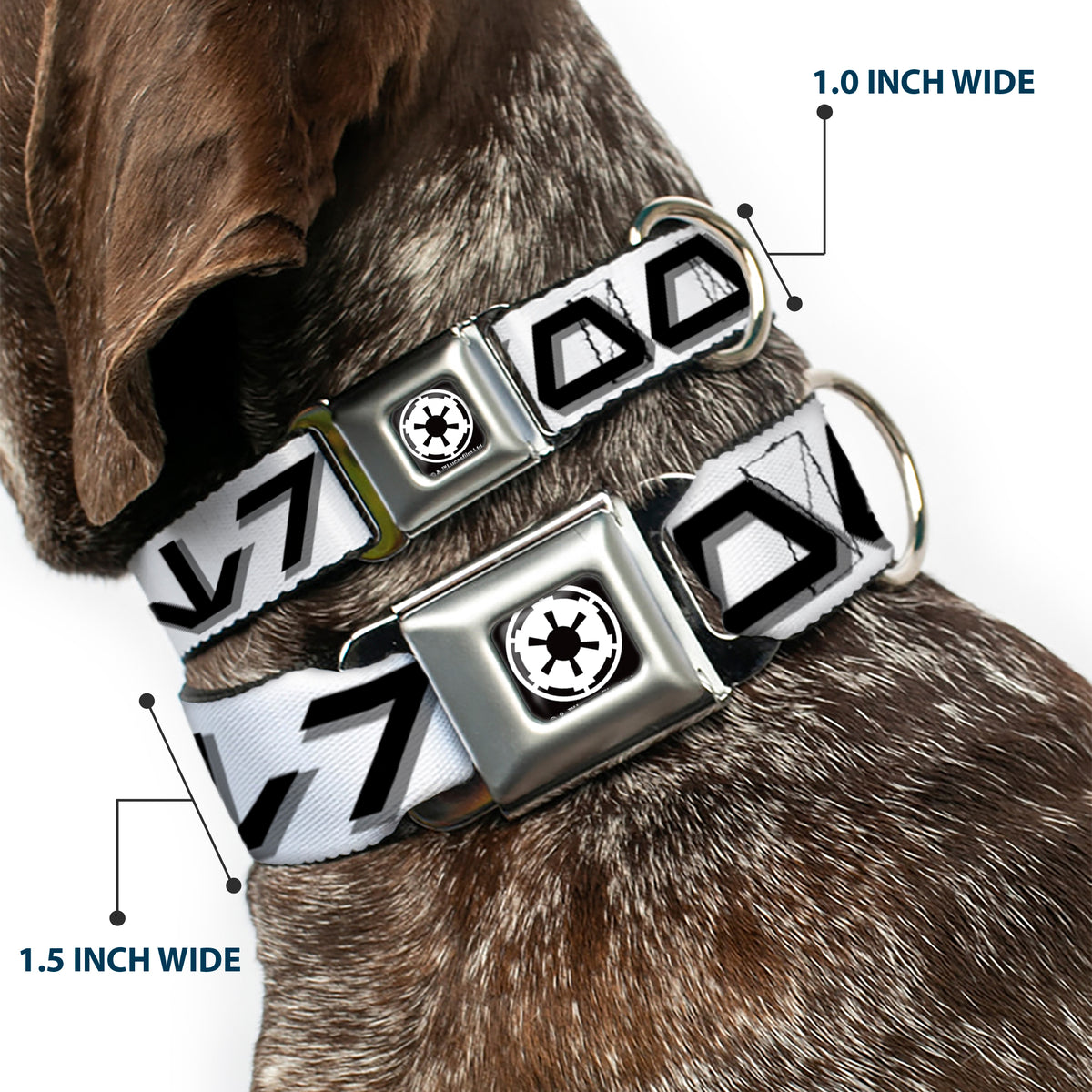 Star Wars Galactic Empire Insignia Full Color Black/White Seatbelt Buckle Collar - Star Wars Aurebesh STORMTROOPER White/Gray/Black Dog Collars Seatbelt Buckle Star Wars