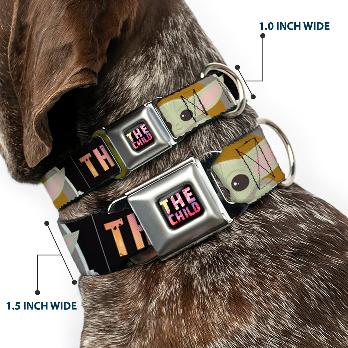 Star Wars THE CHILD Text Full Color Full Color Black/Multi Color Seatbelt Buckle Collar - Star Wars The Child Chibi Pod Pose THIS IS THE WAY Black/Multi Color Dog Collars Seatbelt Buckle Star Wars
