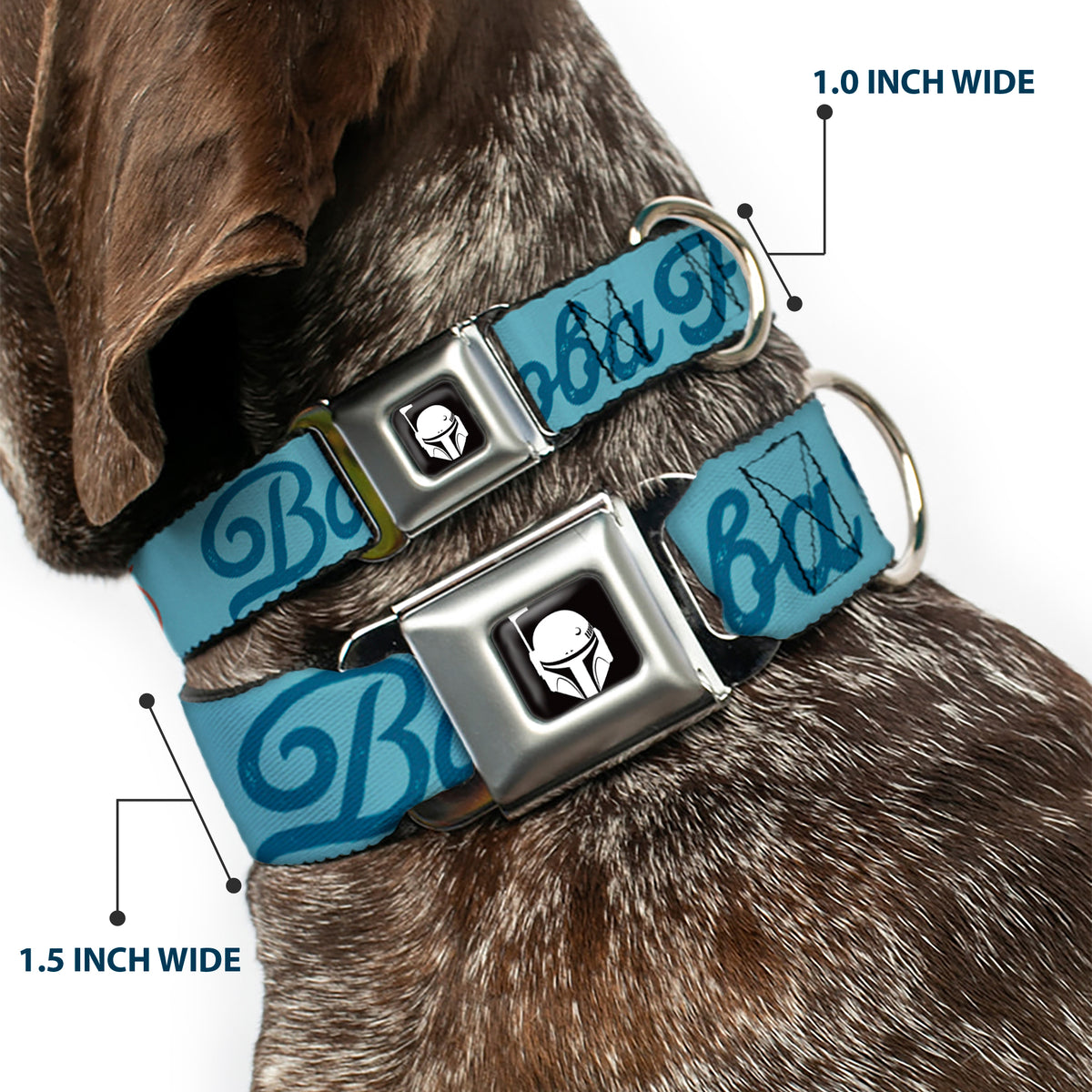 Star Wars Boba Fett Helmet Logo Full Color Black/White Seatbelt Buckle Collar - Star Wars BOBA FETT Script and Logo Blues/Red Dog Collars Seatbelt Buckle Star Wars