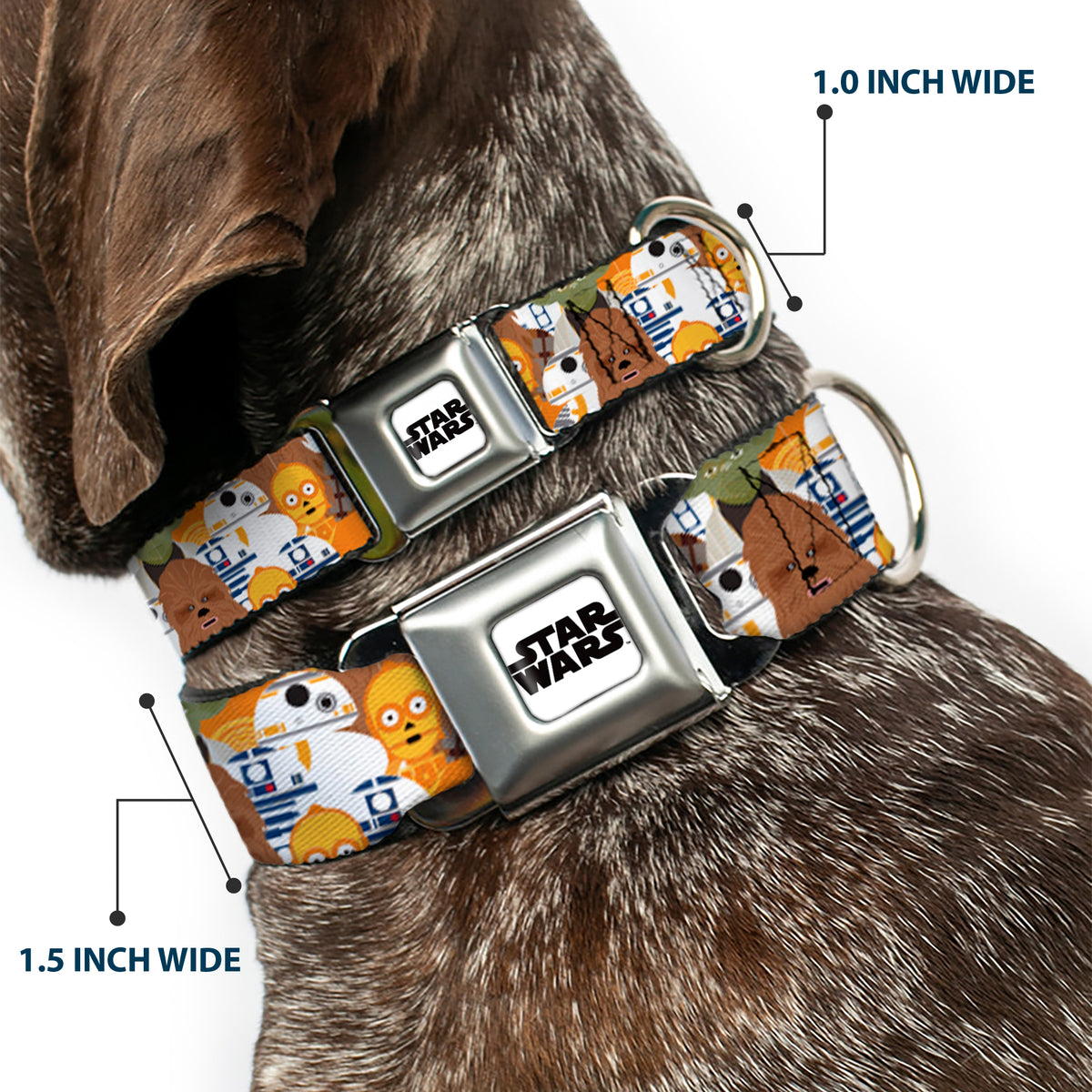 STAR WARS Logo Full Color White/Black Seatbelt Buckle Collar - Star Wars 5-Character Poses Stacked Dog Collars Seatbelt Buckle Star Wars