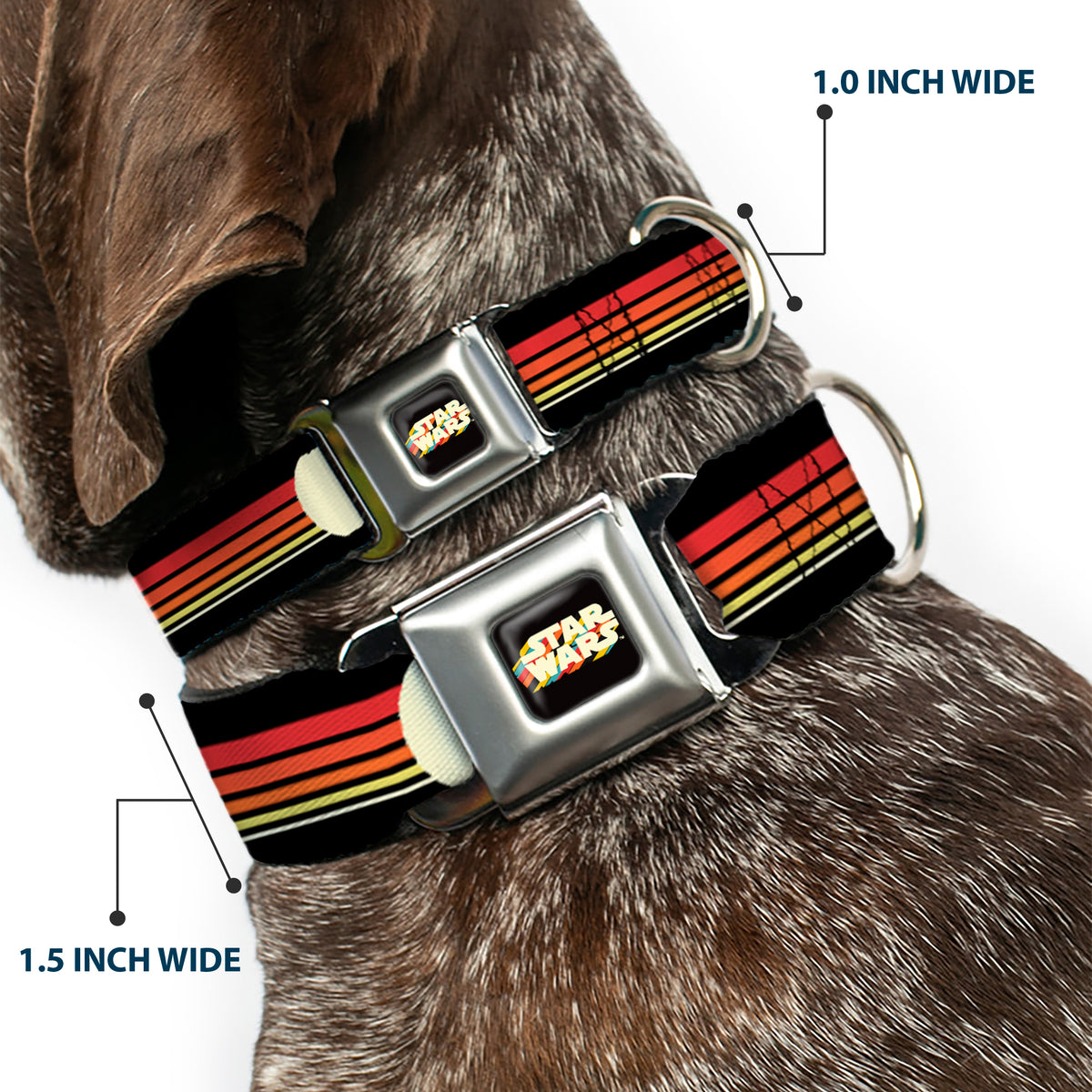 STAR WARS Stripe Logo Full Color Black/Multi Color Seatbelt Buckle Collar - Star Wars Millennium Falcon Stripe Black/Multi Color Dog Collars Seatbelt Buckle Star Wars