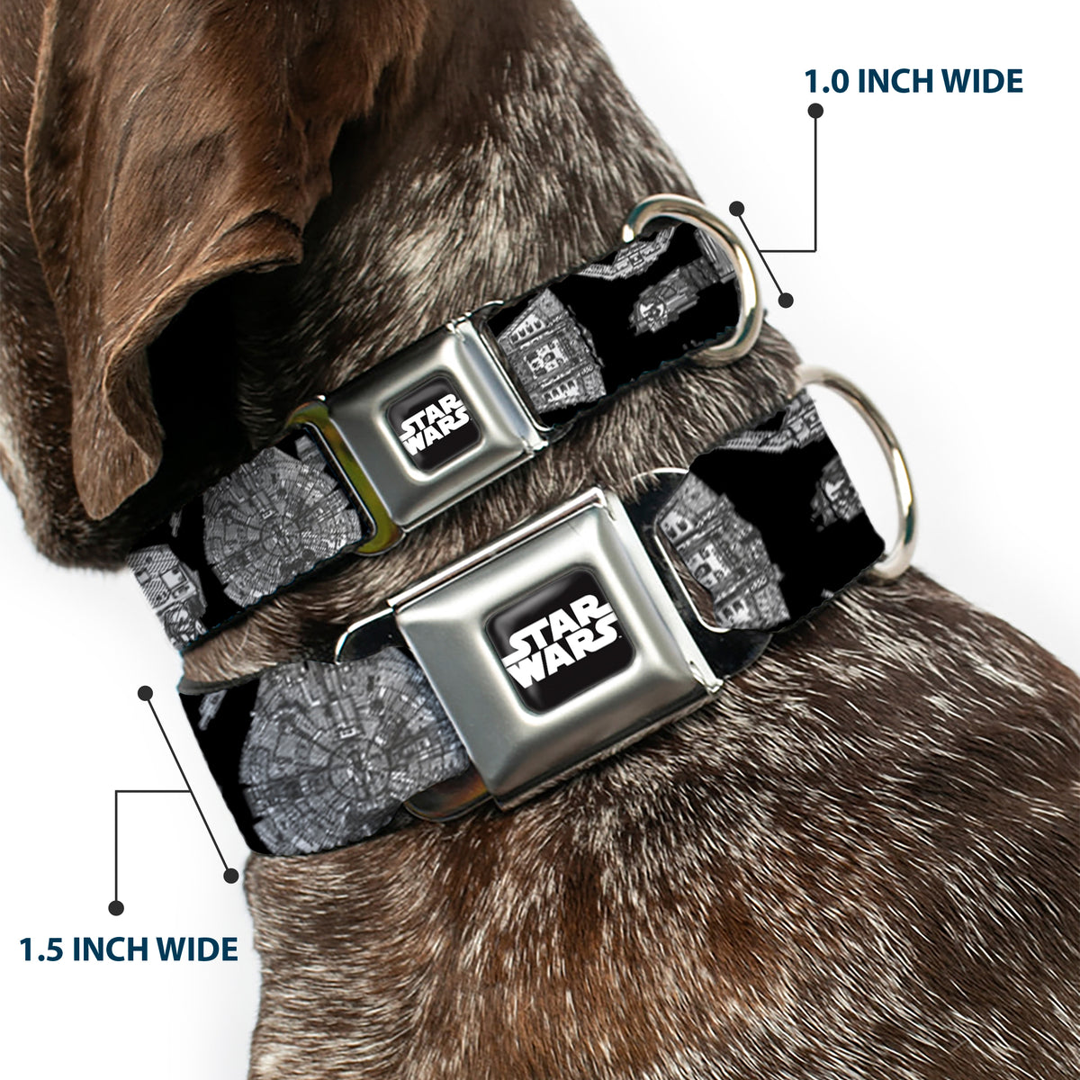 STAR WARS Logo Full Color Black/White Seatbelt Buckle Collar - Star Wars Ships and Vehicles Black/Grays Dog Collars Seatbelt Buckle Star Wars
