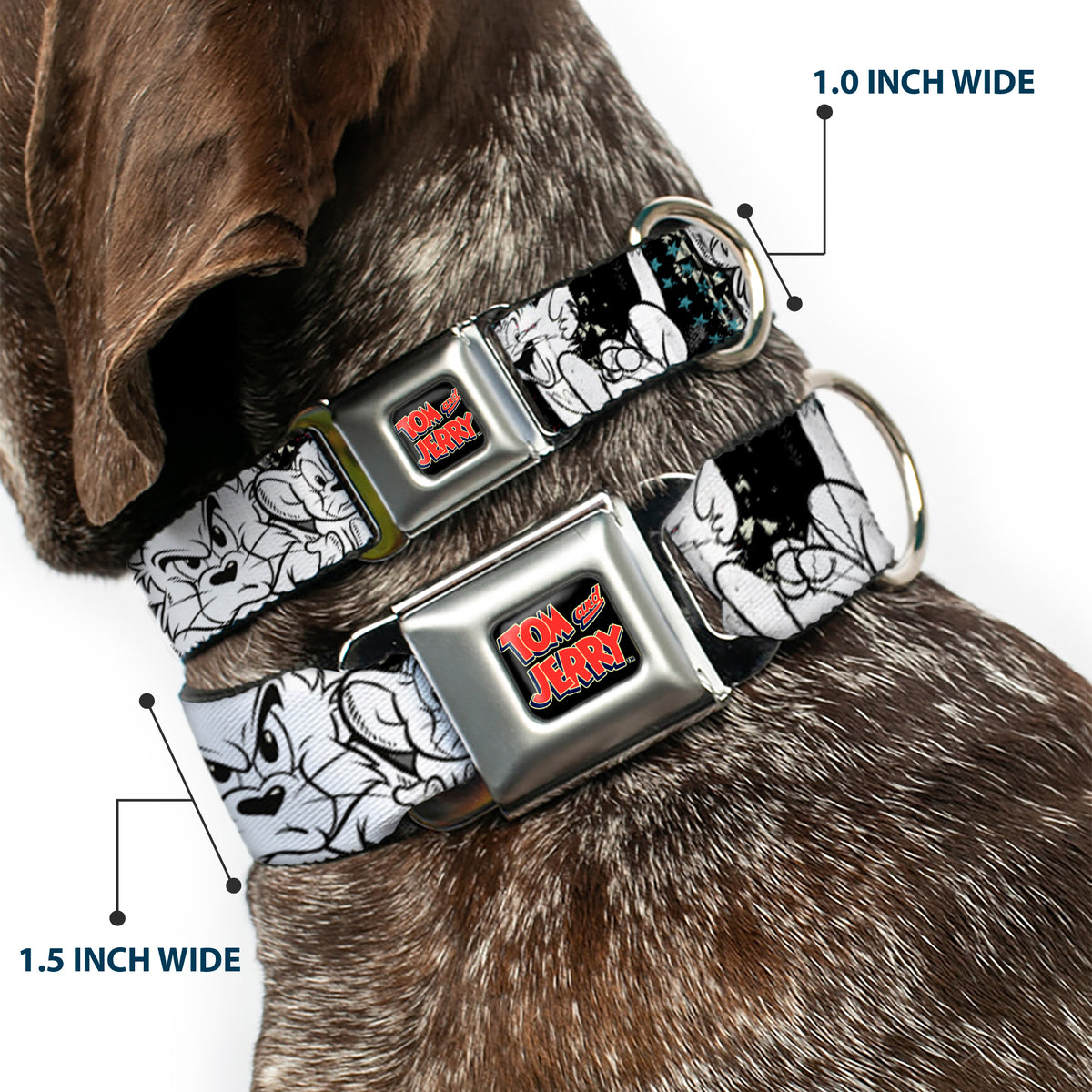 Tom and Jerry Logo Full Color Black Red Seatbelt Buckle Collar - TOM & JERRY Face & Pose Sketch Black/White/Red/Blue Dog Collars Seatbelt Buckle Tom and Jerry