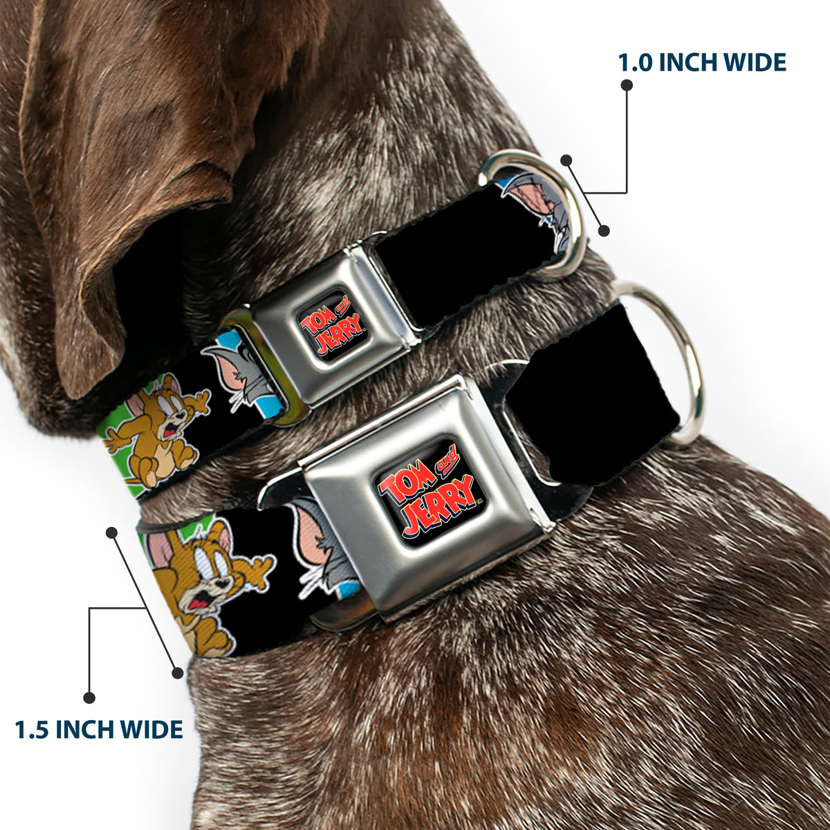 Tom and Jerry Logo Full Color Black Red Seatbelt Buckle Collar - TOM & JERRY Poses Black/Multi Color Dog Collars Seatbelt Buckle Tom and Jerry