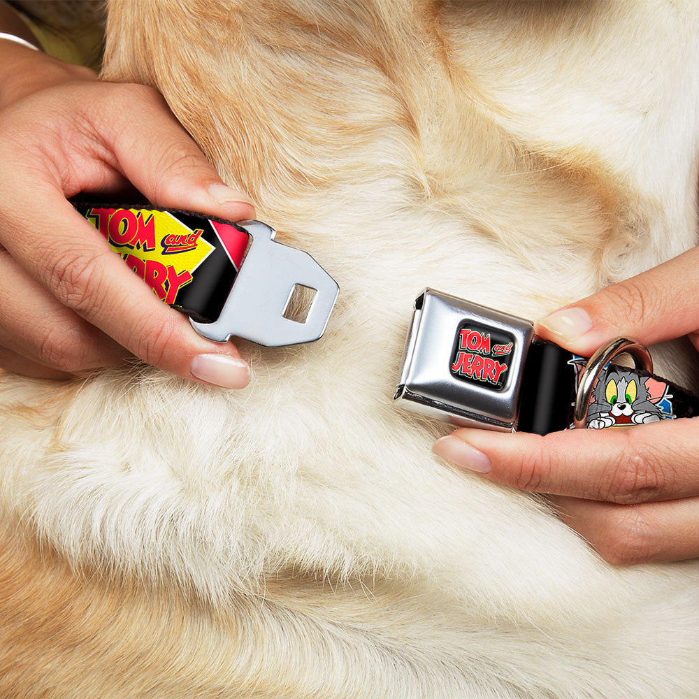Tom and Jerry Logo Full Color Black Red Seatbelt Buckle Collar - TOM & JERRY Poses Black/Multi Color Dog Collars Seatbelt Buckle Tom and Jerry