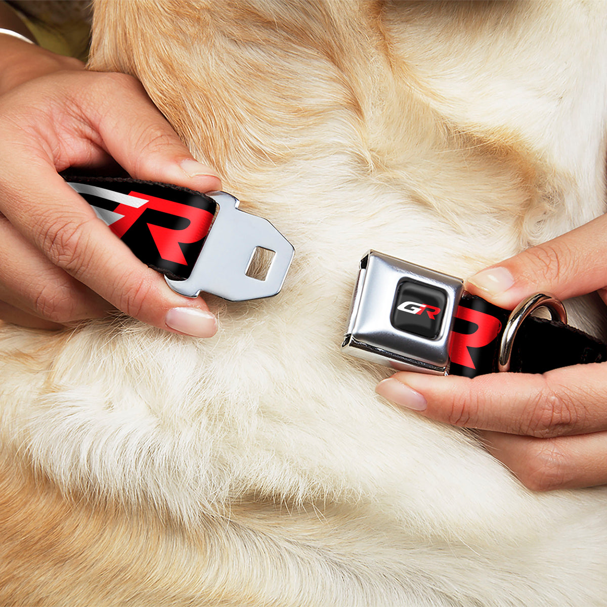 Toyota Gazoo Racing GR Logo Full Color Black/White Red Seatbelt Buckle Collar - TOYOTA GAZOO RACING GR Logo and Text Black/White/Red Dog Collars Seatbelt Buckle Toyota