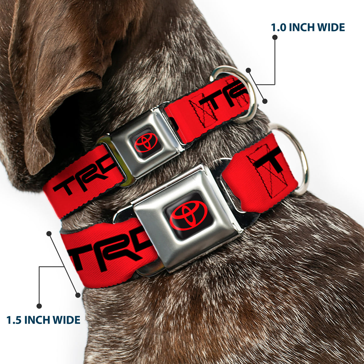Toyota Logo Full Color Black/Red Seatbelt Buckle Collar - Toyota Racing Development TRD Logo Red/Black Dog Collars Seatbelt Buckle Toyota