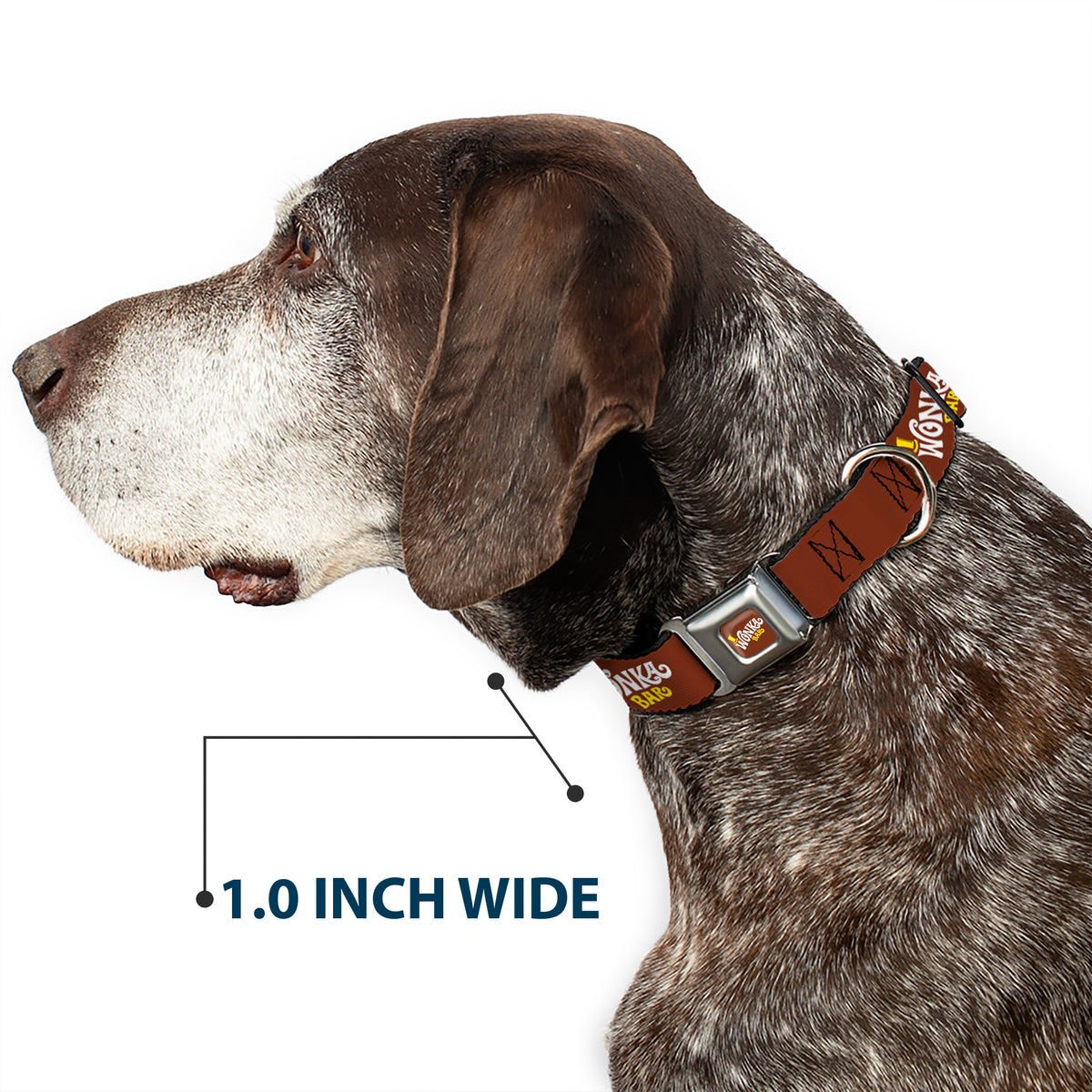 Willy Wonka and the Chocolate Factory WONKA BAR Logo Full Color Brown/Yellow/White Seatbelt Buckle Collar - Willy Wonka and the Chocolate Factory WONKA BAR Logo Brown/Yellow/White Dog Collars Seatbelt Buckle Willy Wonka and the Chocolate Factory