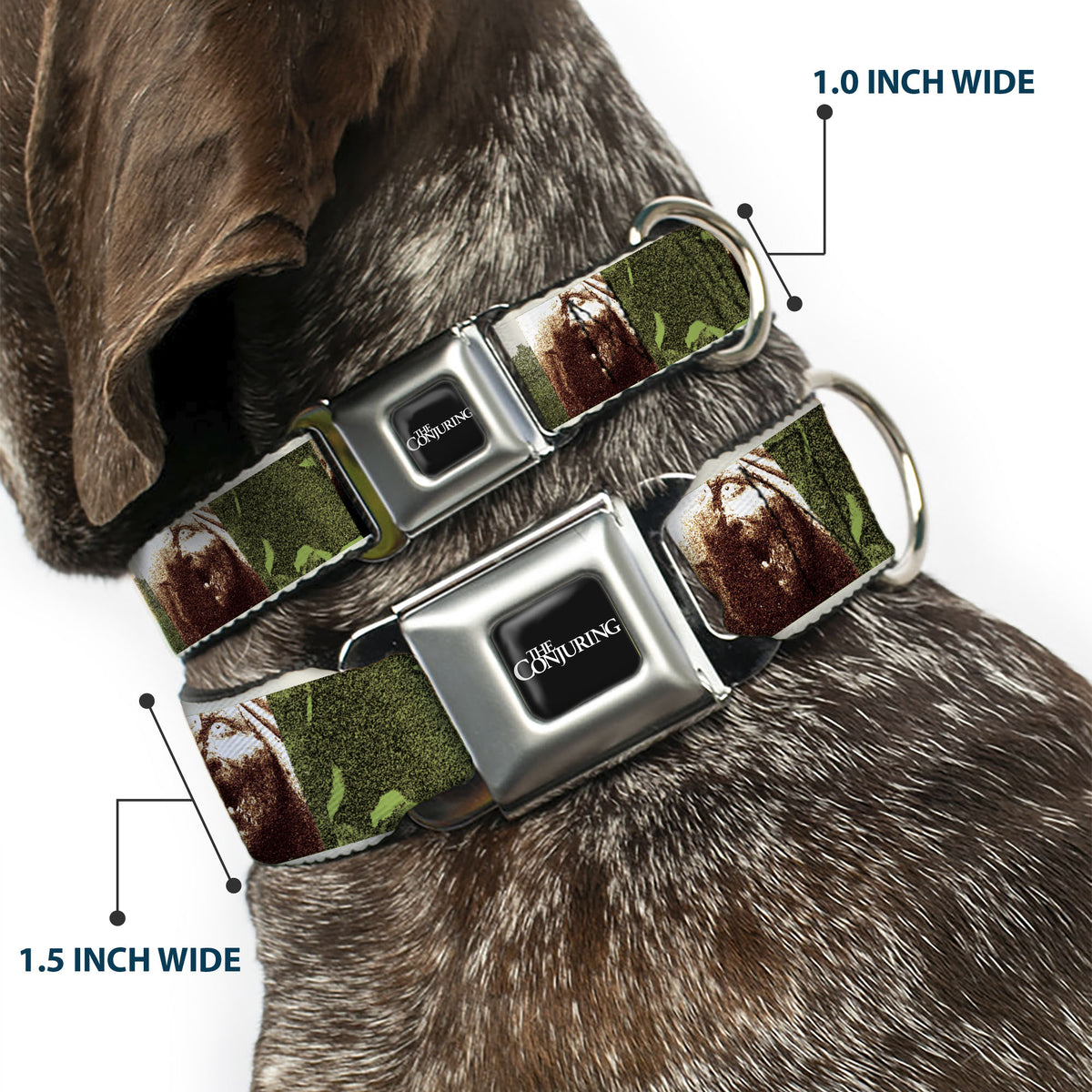 THE CONJURING Title Logo Full Color Black/White Seatbelt Buckle Collar - THE CONJURING Possession Scenes and Title Logo Dog Collars Seatbelt Buckle The Conjuring