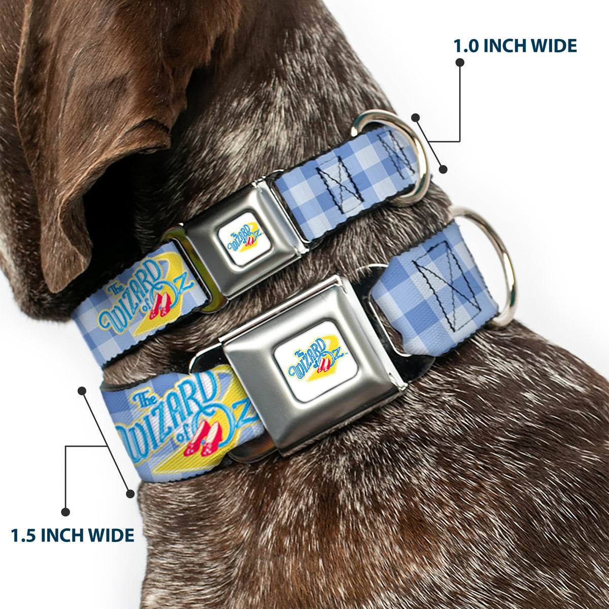 THE WIZARD OF OZ Logo Full Color White Seatbelt Buckle Collar - THE WIZARD OF OZ Logo Gingham Checker Blues Dog Collars Seatbelt Buckle The Wizard of Oz