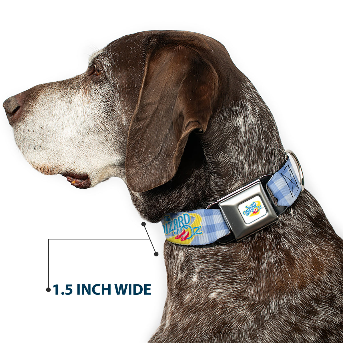 THE WIZARD OF OZ Logo Full Color White Seatbelt Buckle Collar - THE WIZARD OF OZ Logo Gingham Checker Blues Dog Collars Seatbelt Buckle The Wizard of Oz