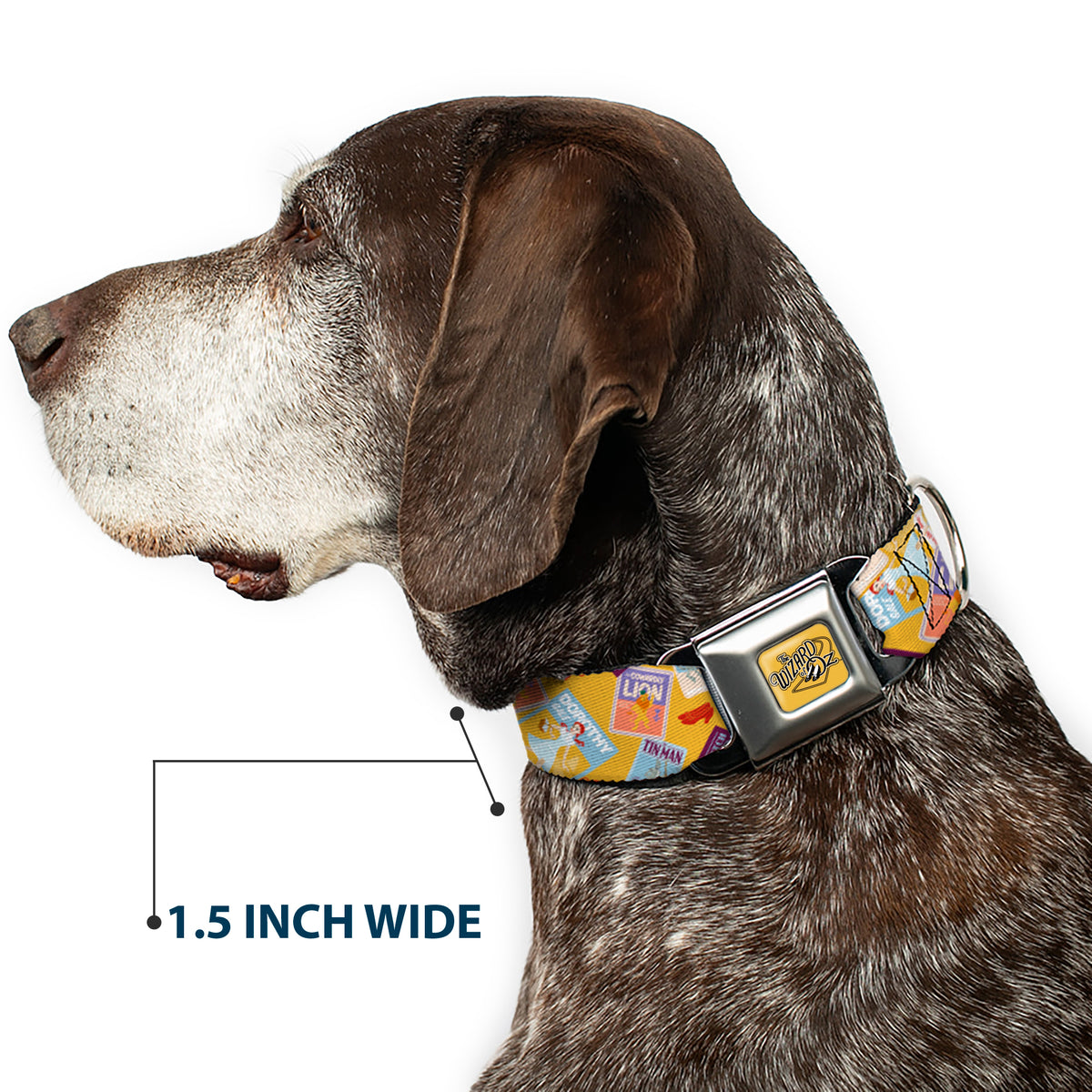 THE WIZARD OF OZ Title Logo Full Color Yellow/Black Seatbelt Buckle Collar - The Wizard of Oz Characters Scenes and Icons Collage Yellow Dog Collars Seatbelt Buckle The Wizard of Oz