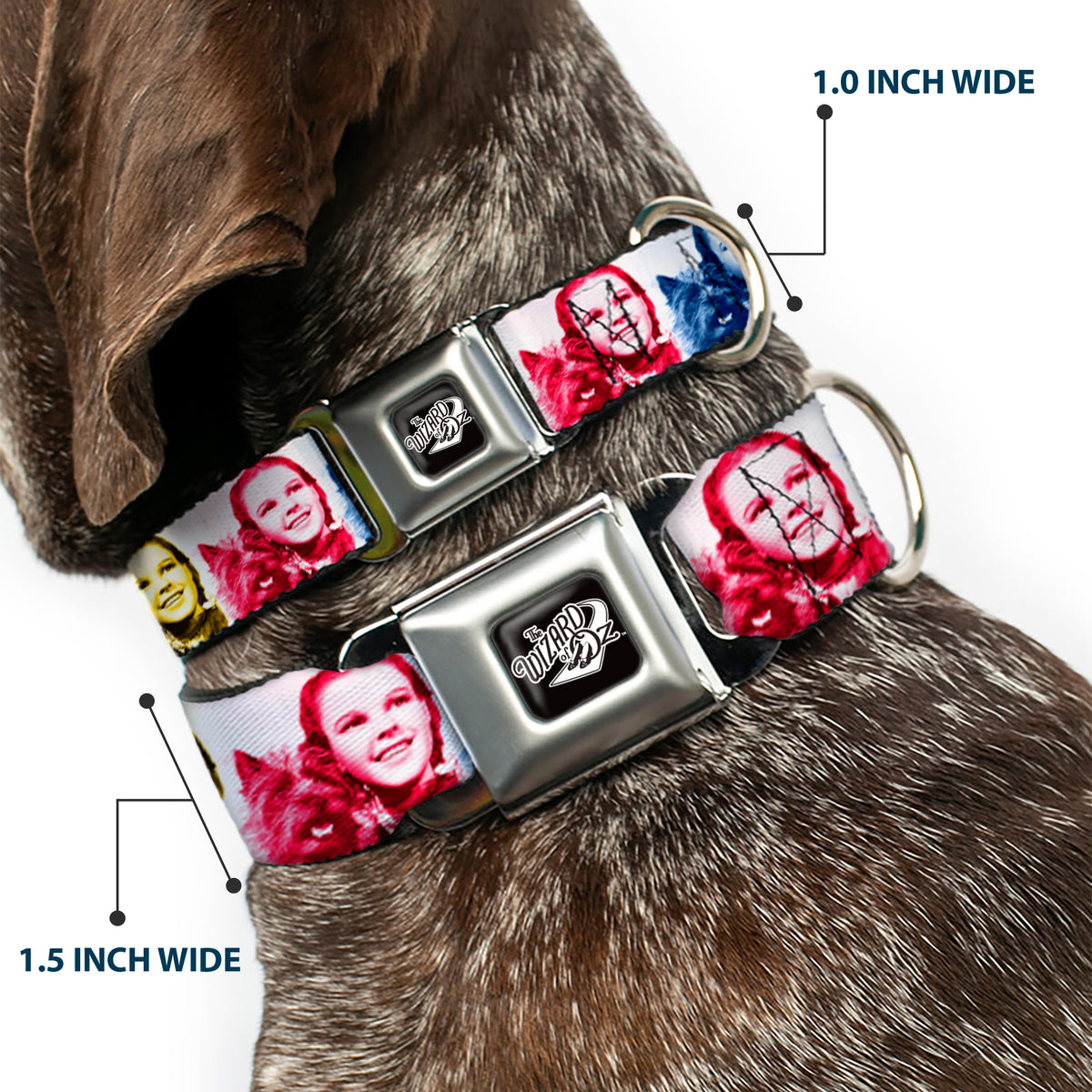 THE WIZARD OF OZ Title Logo Full Color Black/White Seatbelt Buckle Collar - The Wizard of Oz Dorothy and Toto Pose Blocks Blues/Yellows/Reds Dog Collars Seatbelt Buckle The Wizard of Oz