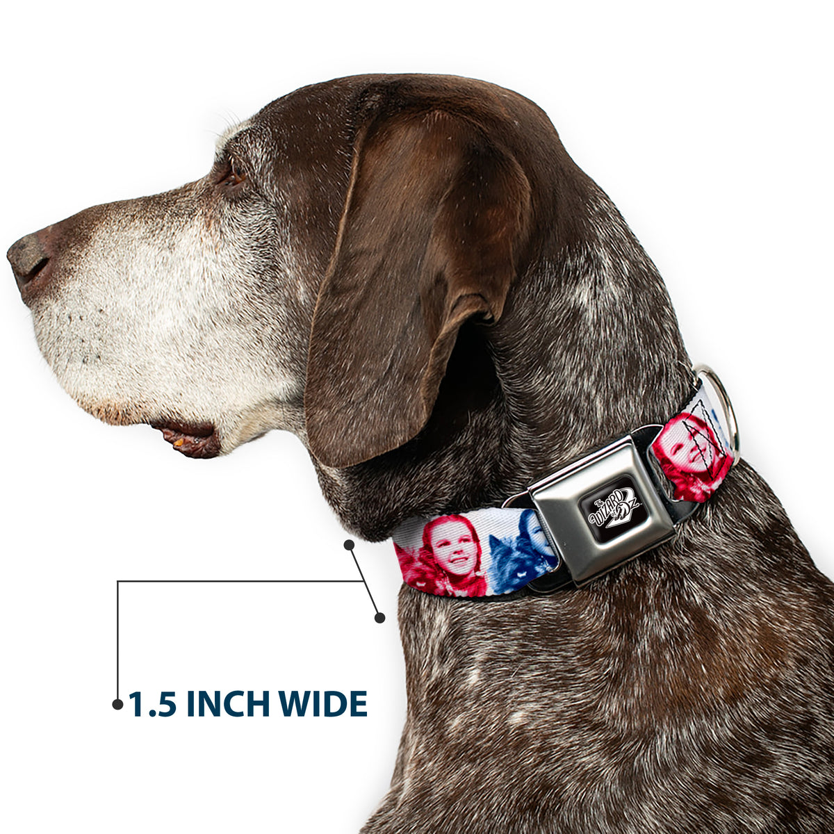 THE WIZARD OF OZ Title Logo Full Color Black/White Seatbelt Buckle Collar - The Wizard of Oz Dorothy and Toto Pose Blocks Blues/Yellows/Reds Dog Collars Seatbelt Buckle The Wizard of Oz