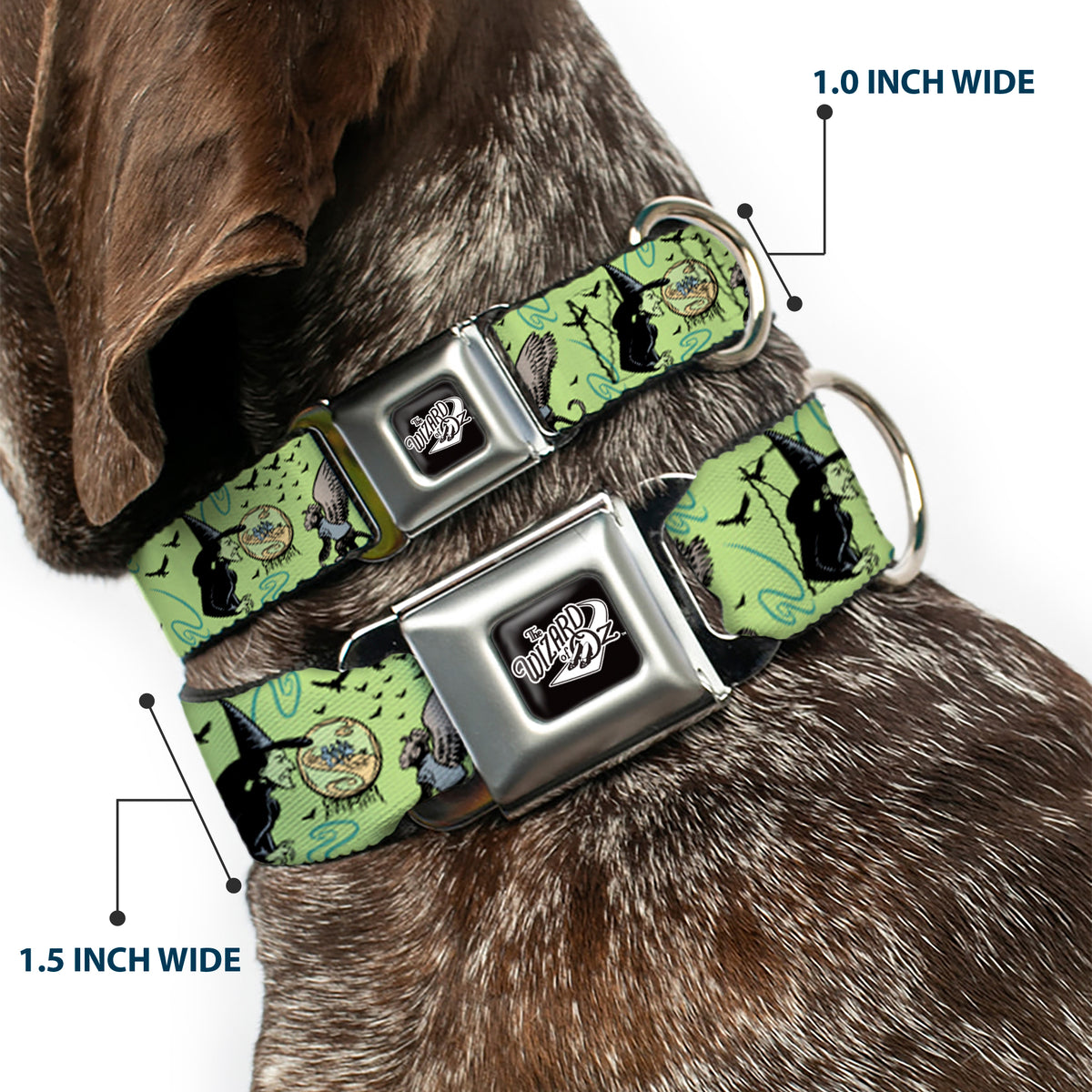 THE WIZARD OF OZ Title Logo Full Color Black/White Seatbelt Buckle Collar - The Wizard of Oz Wicked Witch of the West and Flying Monkeys Greens Dog Collars Seatbelt Buckle The Wizard of Oz