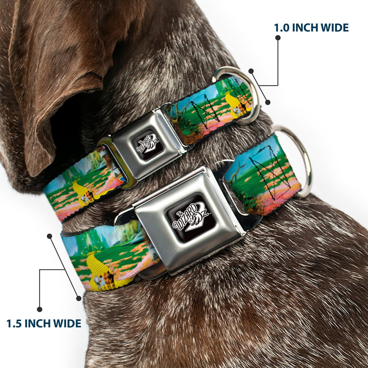 THE WIZARD OF OZ Title Logo Full Color Black/White Seatbelt Buckle Collar - The Wizard of Oz Yellow Brick Road Scenes Dog Collars Seatbelt Buckle The Wizard of Oz