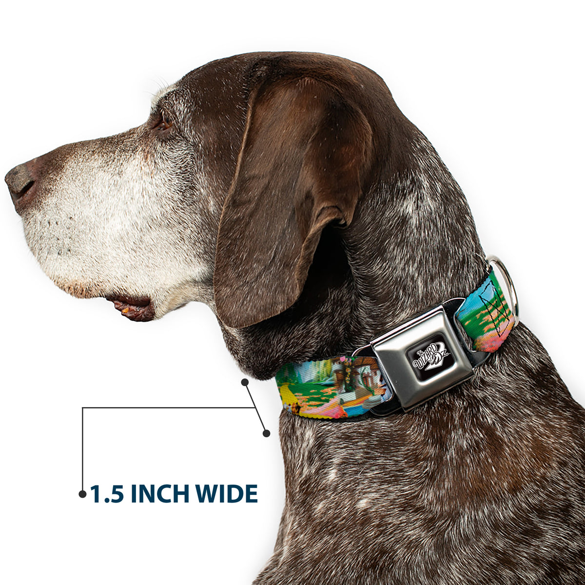 THE WIZARD OF OZ Title Logo Full Color Black/White Seatbelt Buckle Collar - The Wizard of Oz Yellow Brick Road Scenes Dog Collars Seatbelt Buckle The Wizard of Oz