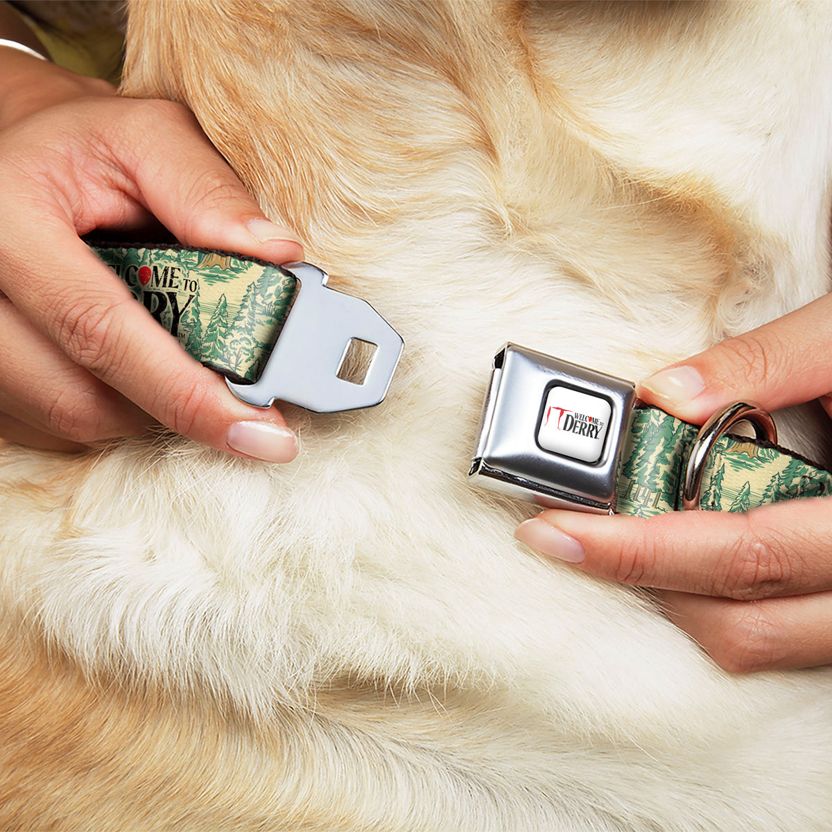 IT WELCOME TO DERRY Title Logo Full Color White Seatbelt Buckle Collar - IT WELCOME TO DERRY Forest Scenery and Title Logo Beige/Greens Dog Collars Seatbelt Buckle IT