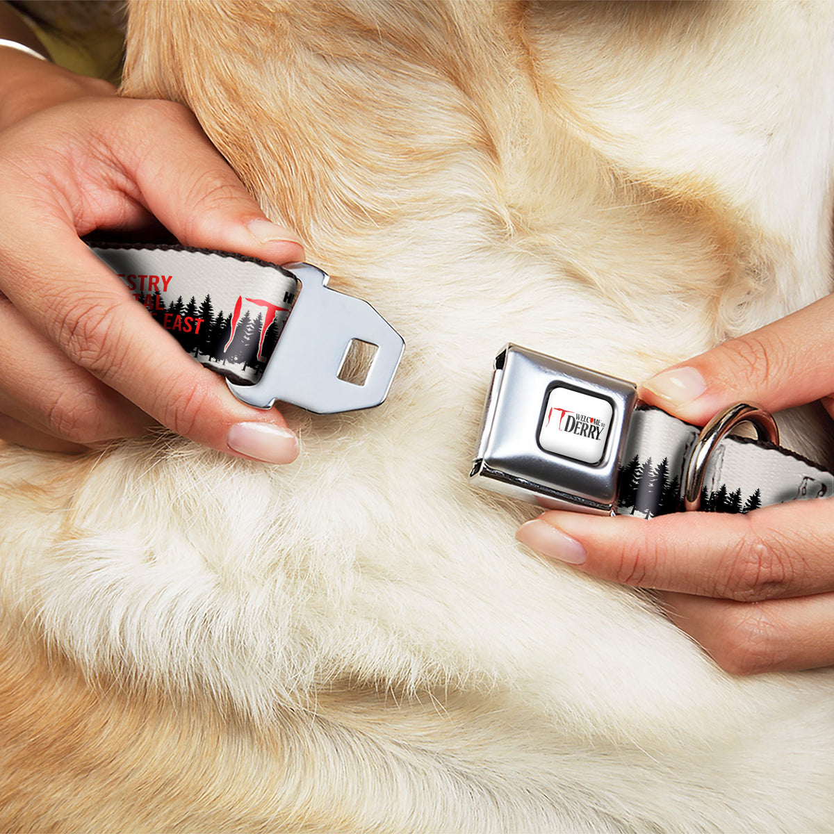 IT WELCOME TO DERRY Title Logo Full Color White Seatbelt Buckle Collar - IT WELCOME TO DERRY Icons and Forest Scenery White/Black/Red Dog Collars Seatbelt Buckle IT