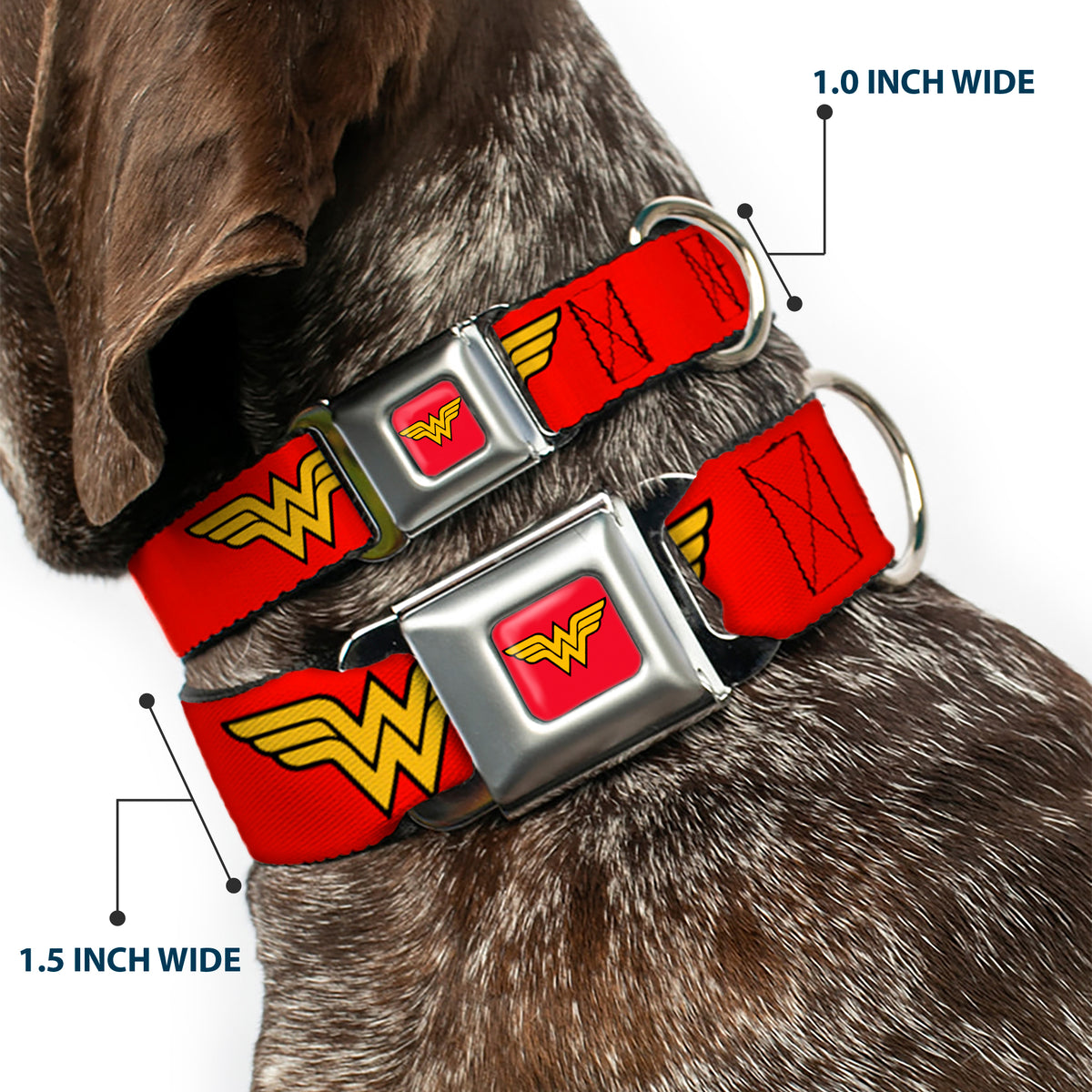 Wonder Woman Logo Full Color Red Seatbelt Buckle Collar - Wonder Woman Logo Red Dog Collars Seatbelt Buckle DC Comics