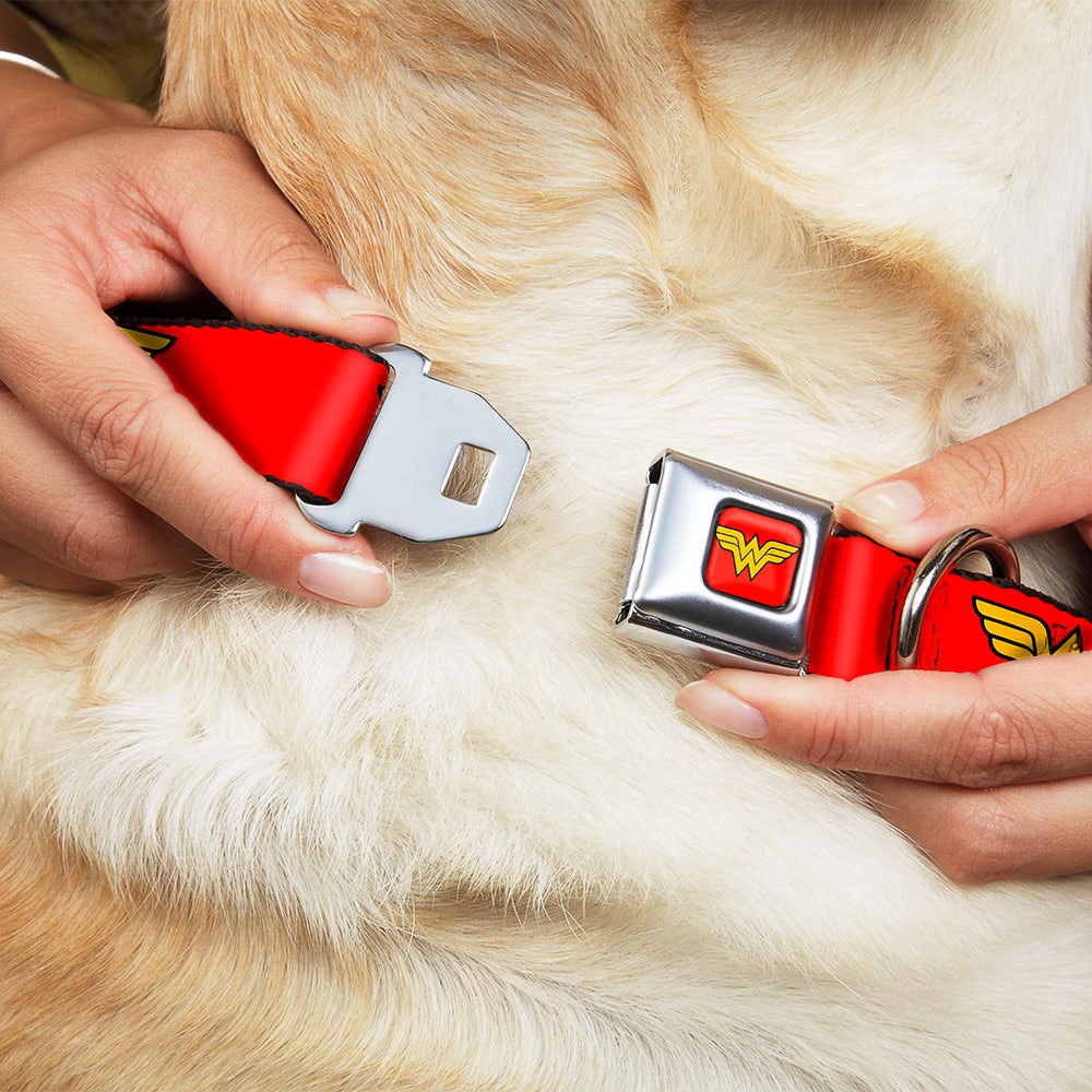 Wonder Woman Logo Full Color Red Seatbelt Buckle Collar - Wonder Woman Logo Red Dog Collars Seatbelt Buckle DC Comics