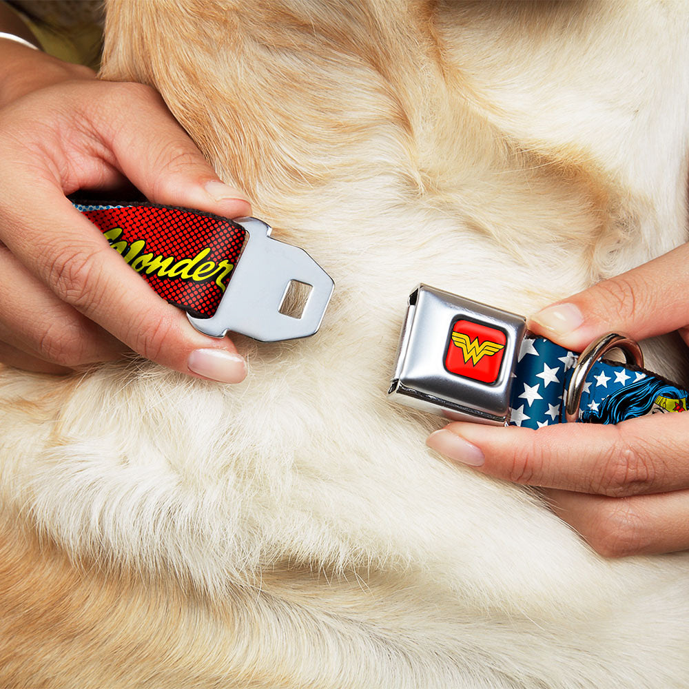 Wonder Woman Logo Full Color Red Seatbelt Buckle Collar - Wonder Woman Face w/Stars Dog Collars Seatbelt Buckle DC Comics