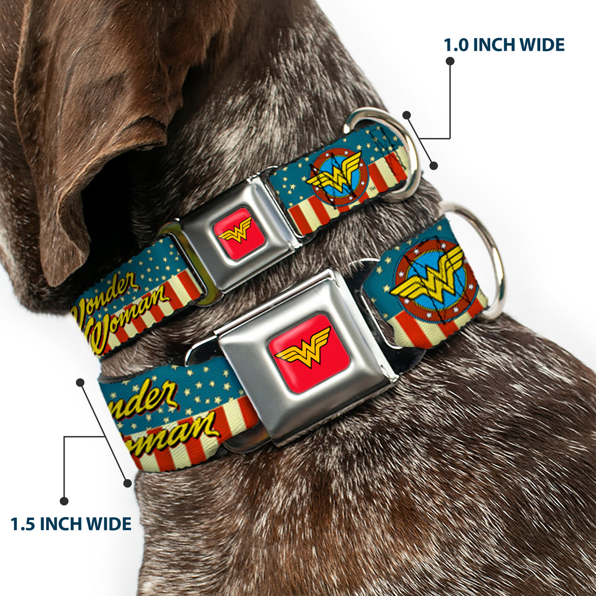 Wonder Woman Logo Full Color Red Seatbelt Buckle Collar - WONDER WOMAN/Logo Americana Red/White/Blue/Yellow Dog Collars Seatbelt Buckle DC Comics
