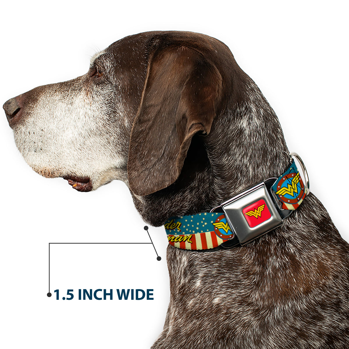 Wonder Woman Logo Full Color Red Seatbelt Buckle Collar - WONDER WOMAN/Logo Americana Red/White/Blue/Yellow Dog Collars Seatbelt Buckle DC Comics
