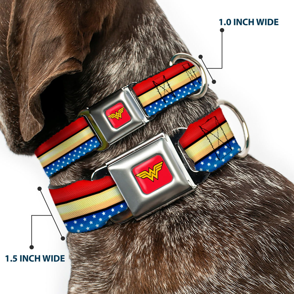 Wonder Woman Logo Full Color Red Seatbelt Buckle Collar - Wonder Woman Stripe/Stars Red/Gold/Blue/White Dog Collars Seatbelt Buckle DC Comics