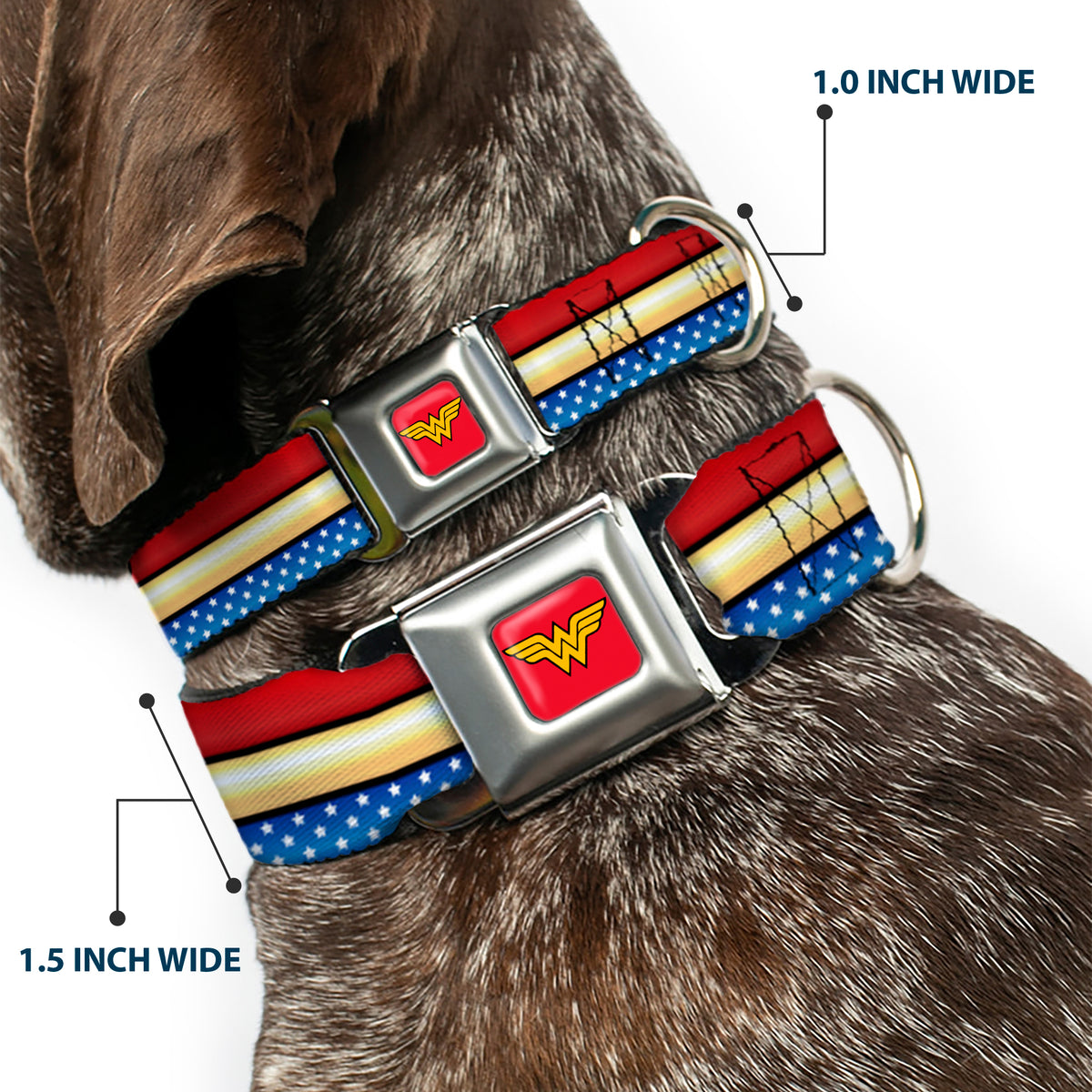 Wonder Woman Logo Full Color Red Seatbelt Buckle Collar - Wonder Woman Logo Stripe/Stars Red/Gold/Blue/White Dog Collars Seatbelt Buckle DC Comics