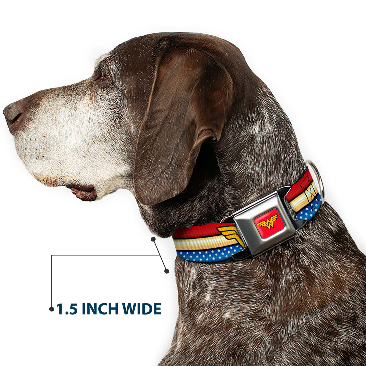 Wonder Woman Logo Full Color Red Seatbelt Buckle Collar - Wonder Woman Logo Stripe/Stars Red/Gold/Blue/White Dog Collars Seatbelt Buckle DC Comics