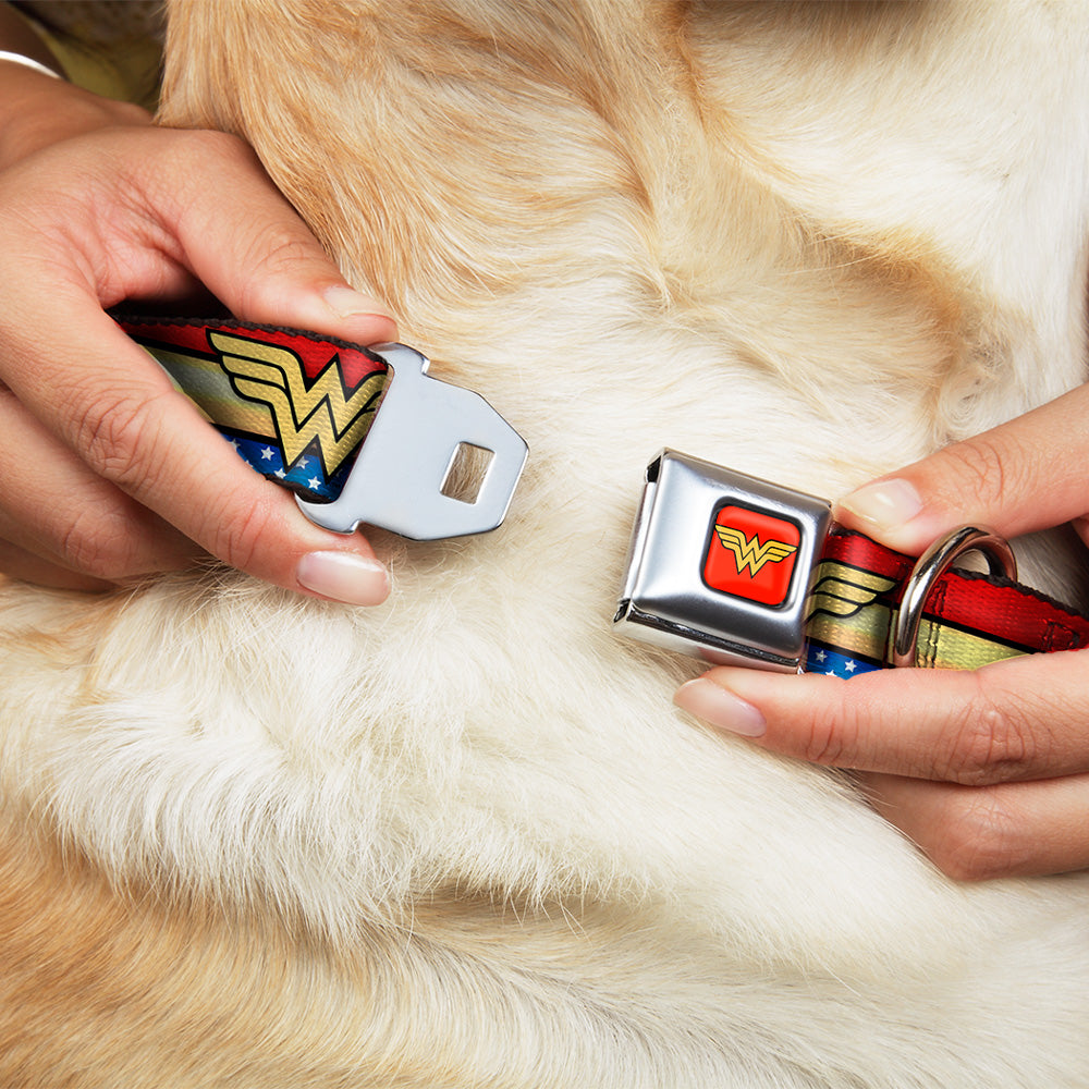 Wonder Woman Logo Full Color Red Seatbelt Buckle Collar - Wonder Woman Logo Stripe/Stars Red/Gold/Blue/White Dog Collars Seatbelt Buckle DC Comics