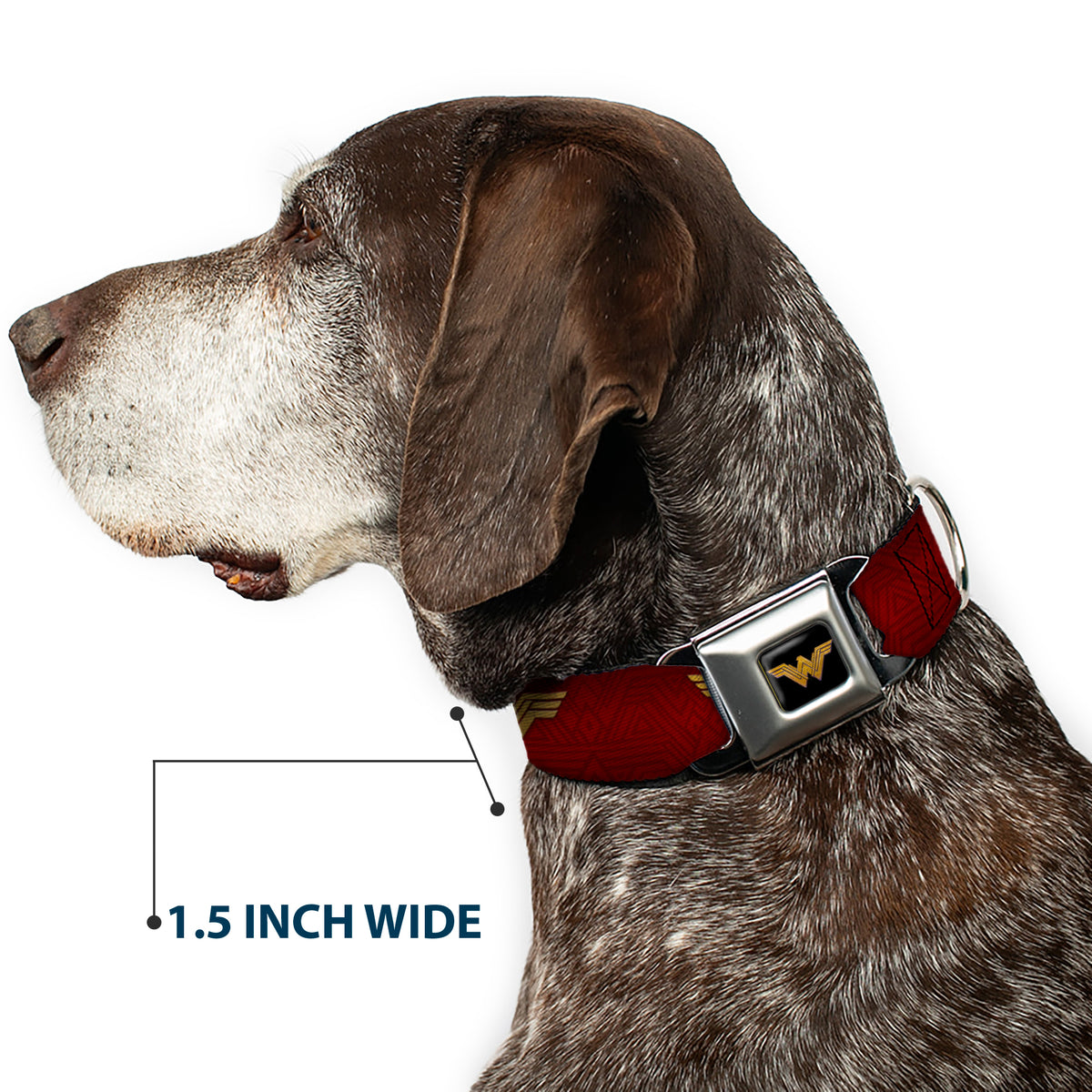 Wonder Woman 2017 Icon Full Color Black/Gold Seatbelt Buckle Collar - Wonder Woman 2017 Icon Reds/Golds Dog Collars Seatbelt Buckle DC Comics