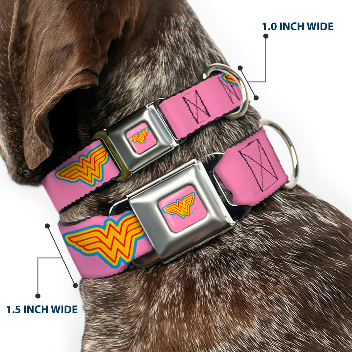 Wonder Woman Logo Pink/Blue/Yellow/Pink Seatbelt Buckle Collar - Wonder Woman Logo Pink/Blue/Yellow/Pink Dog Collars Seatbelt Buckle DC Comics