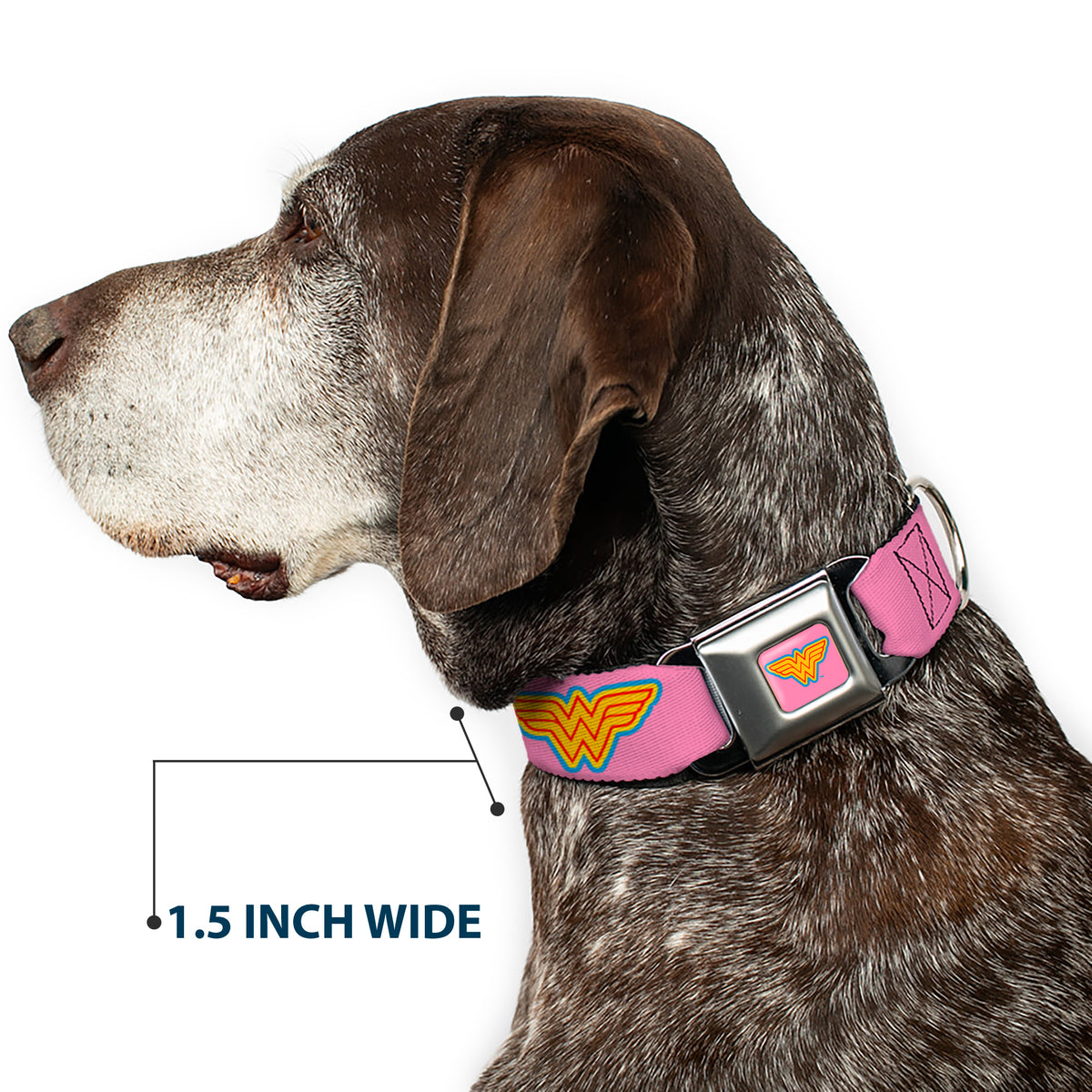 Wonder Woman Logo Pink/Blue/Yellow/Pink Seatbelt Buckle Collar - Wonder Woman Logo Pink/Blue/Yellow/Pink Dog Collars Seatbelt Buckle DC Comics
