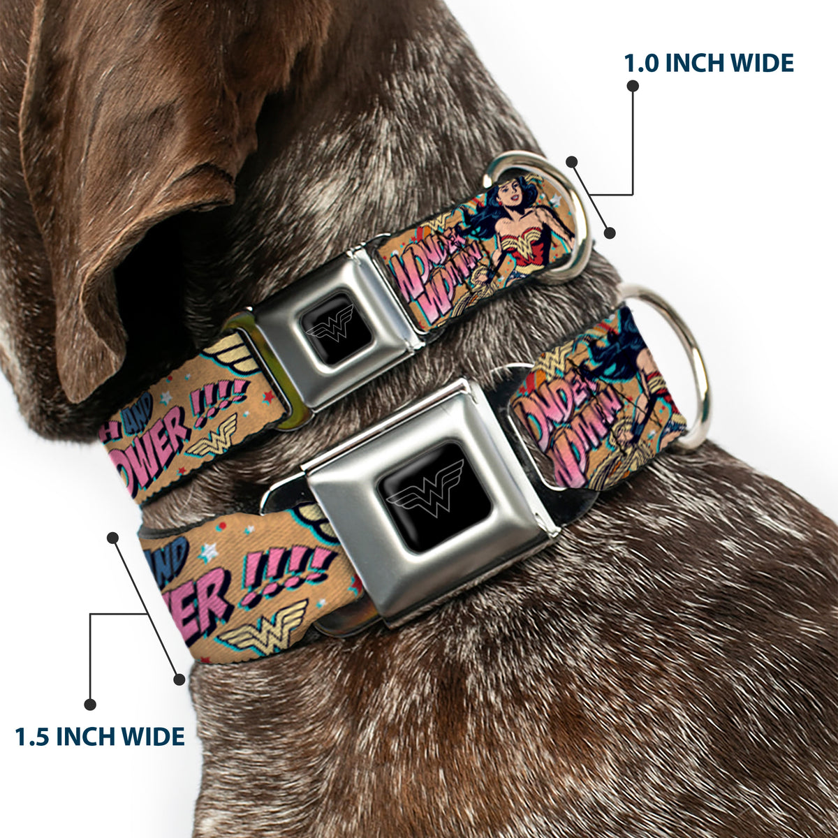 Wonder Woman Black/Silver Seatbelt Buckle Collar - Wonder Woman Strength & Power Dog Collars Seatbelt Buckle DC Comics