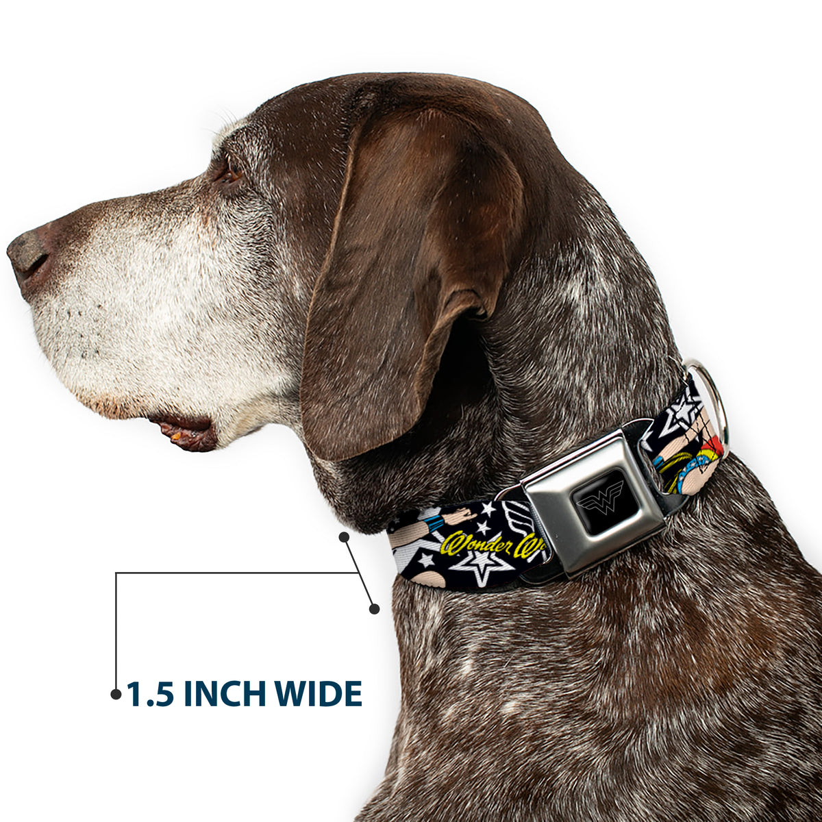 Wonder Woman Black Silver Seatbelt Buckle Collar - Wonder Woman/StarsÂ Black/White Dog Collars Seatbelt Buckle DC Comics