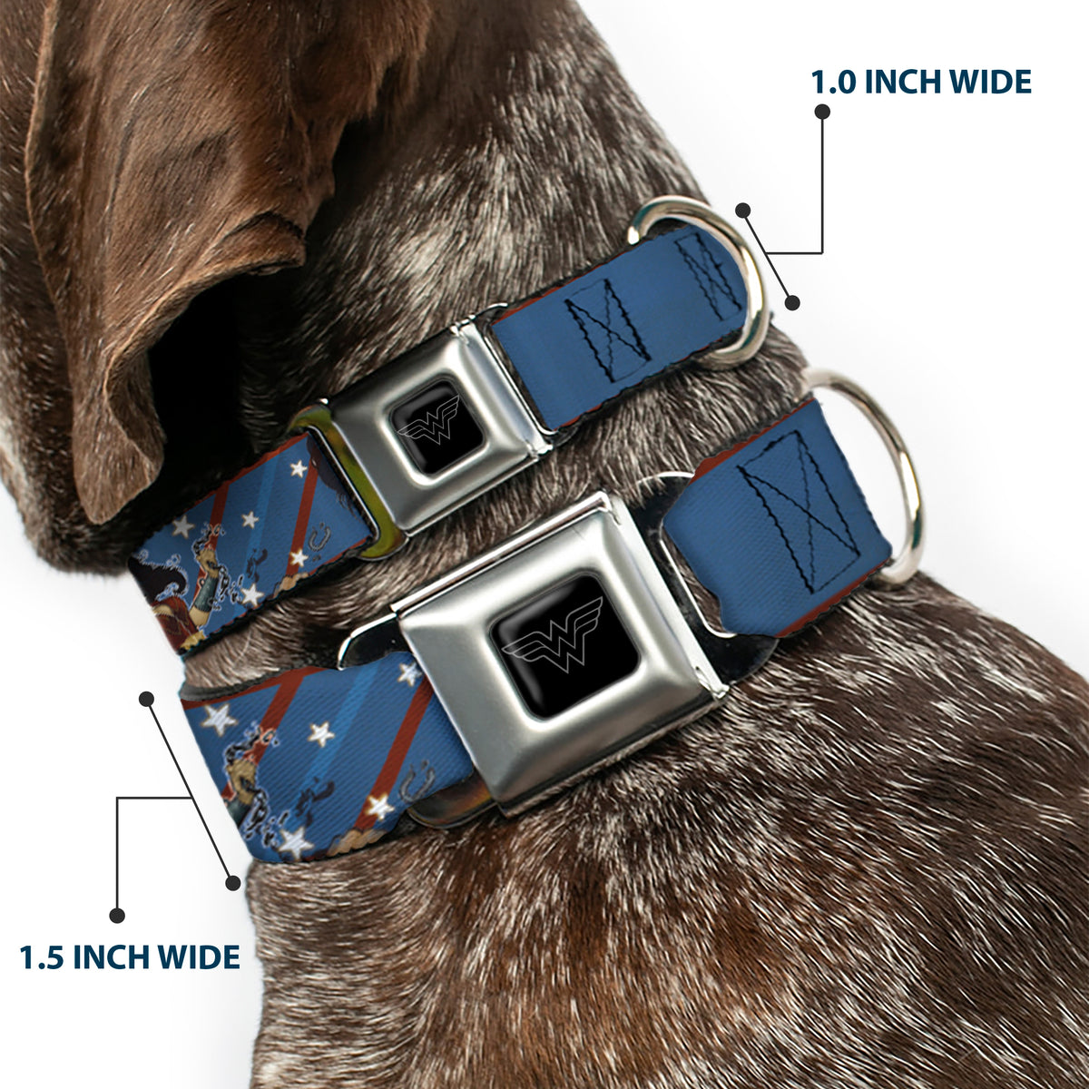 Wonder Woman Logo Black/Silver Seatbelt Buckle Collar - WONDER WOMAN/Bombshell Pose Blue/Red/White Dog Collars Seatbelt Buckle DC Comics