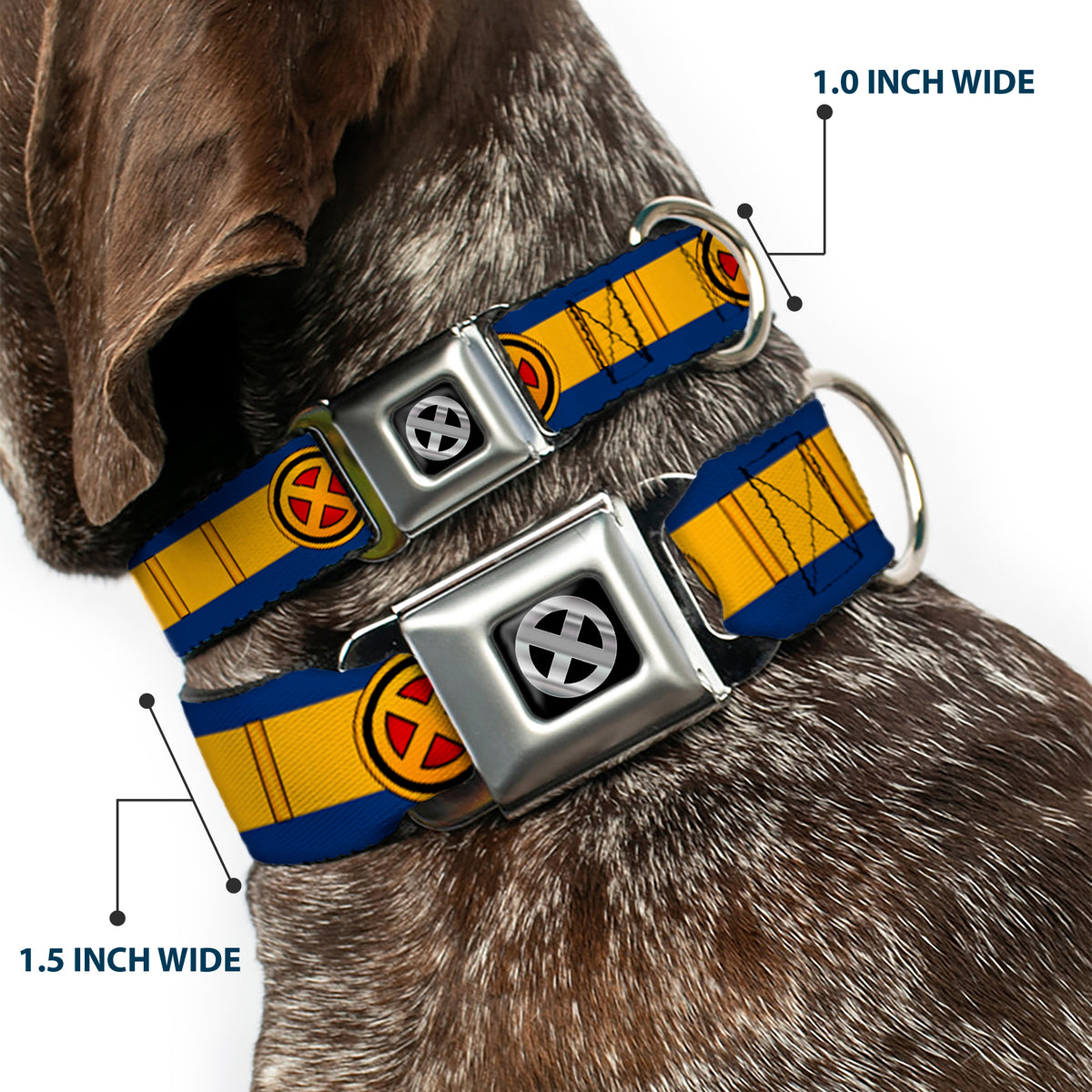 X-Men Icon Black/Silver Gradient Seatbelt Buckle Collar - X-Men Cyclops Utility Strap Blue/Gold/Black/Red Dog Collars Seatbelt Buckle Marvel Comics
