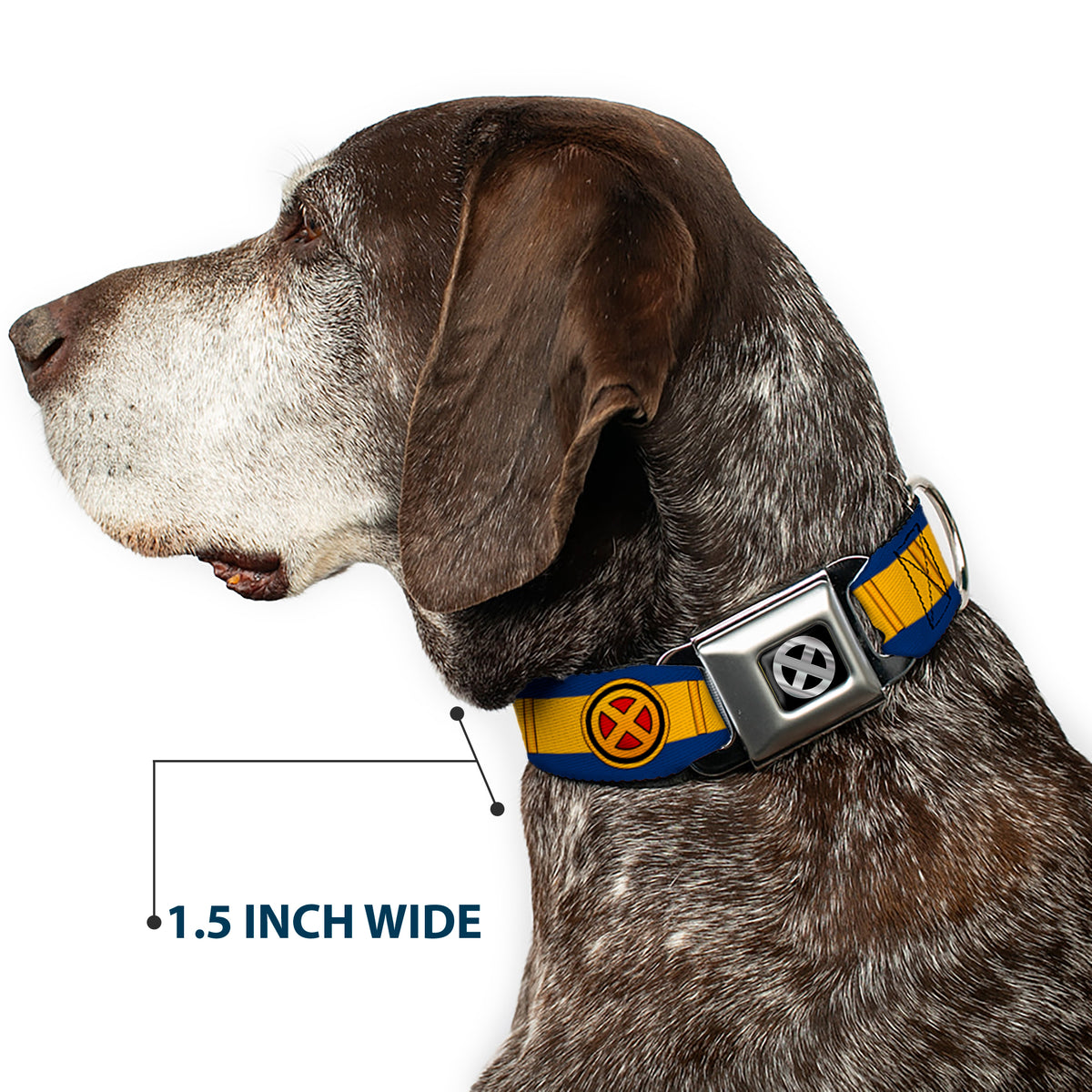 X-Men Icon Black/Silver Gradient Seatbelt Buckle Collar - X-Men Cyclops Utility Strap Blue/Gold/Black/Red Dog Collars Seatbelt Buckle Marvel Comics