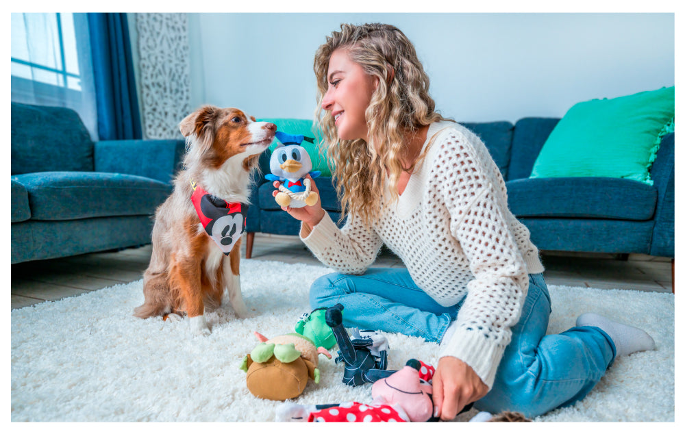 Woman playing with a dog and toys on a carpeted floor in a living room.