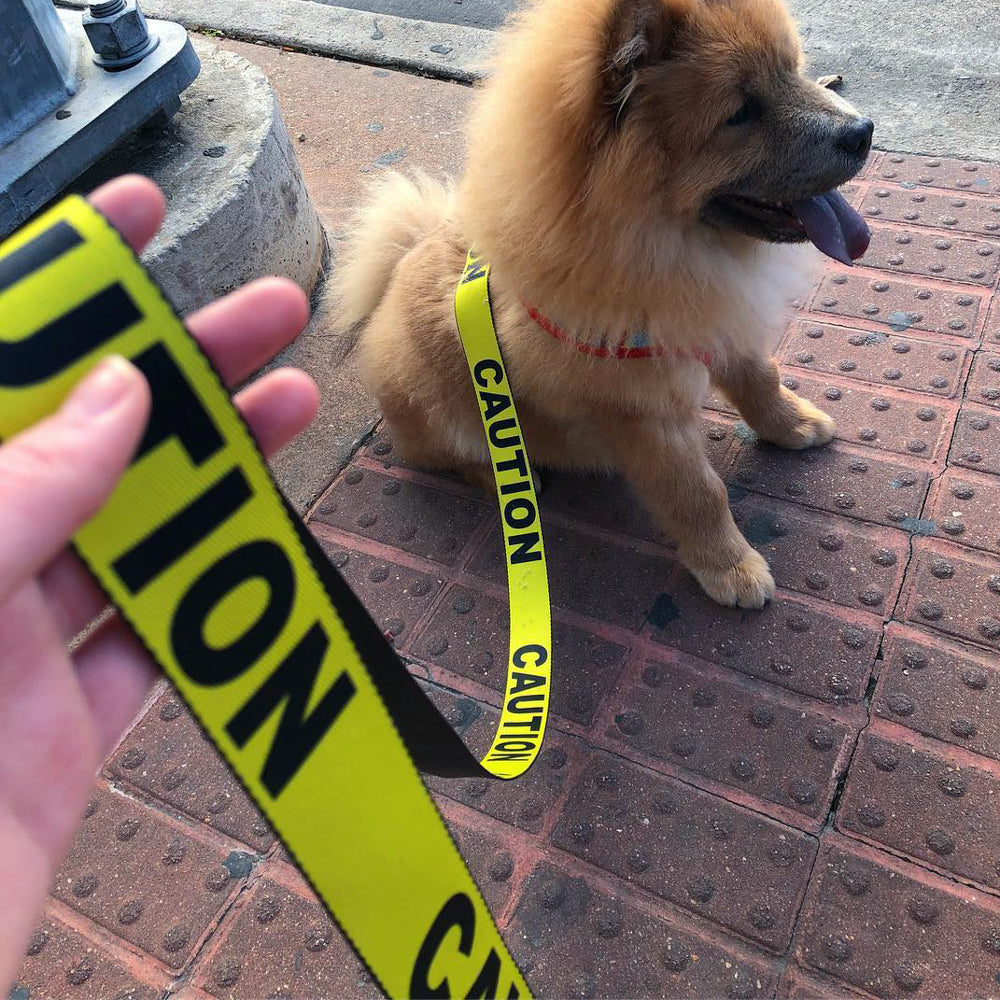 Dog Leash - CAUTION Yellow/Black Dog Leashes Buckle-Down