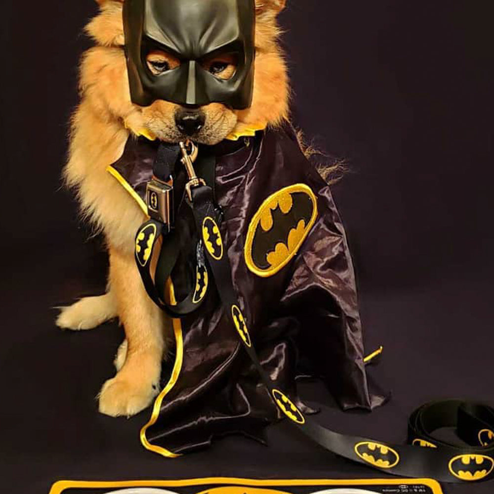 Dog Leash - Batman Shield Black/Yellow Dog Leashes DC Comics